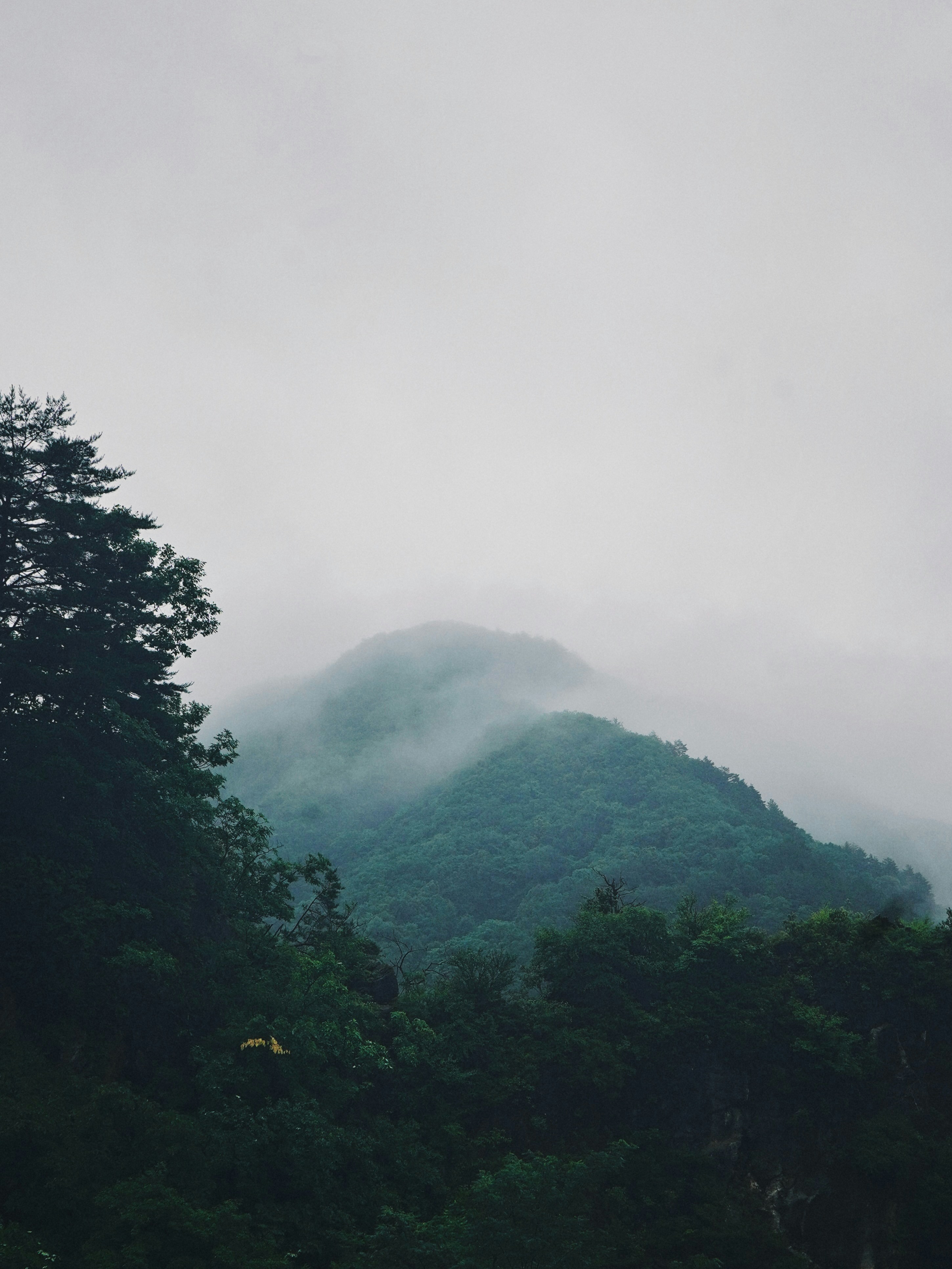 Photo by timdannmalweg