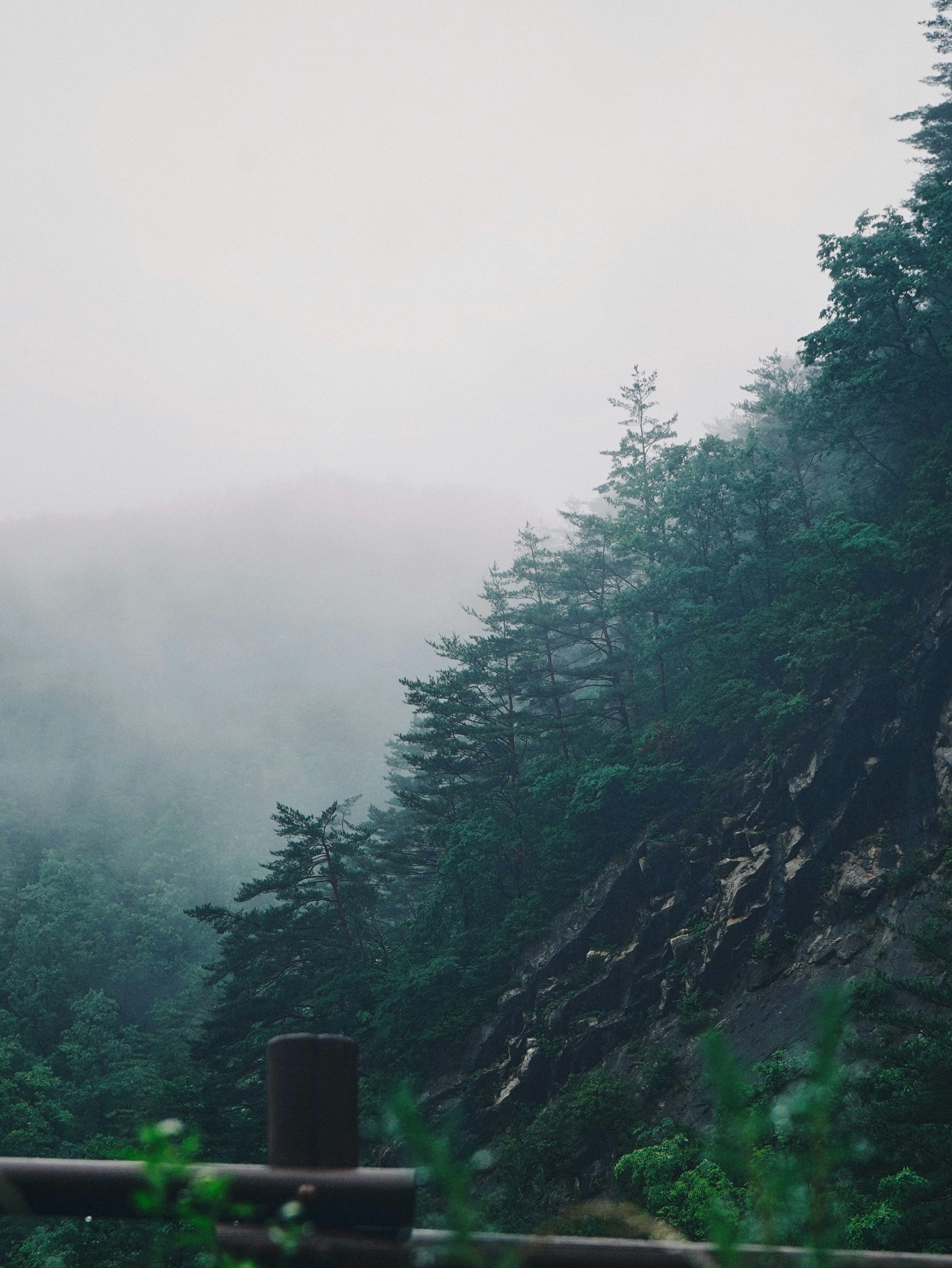 Photo by timdannmalweg