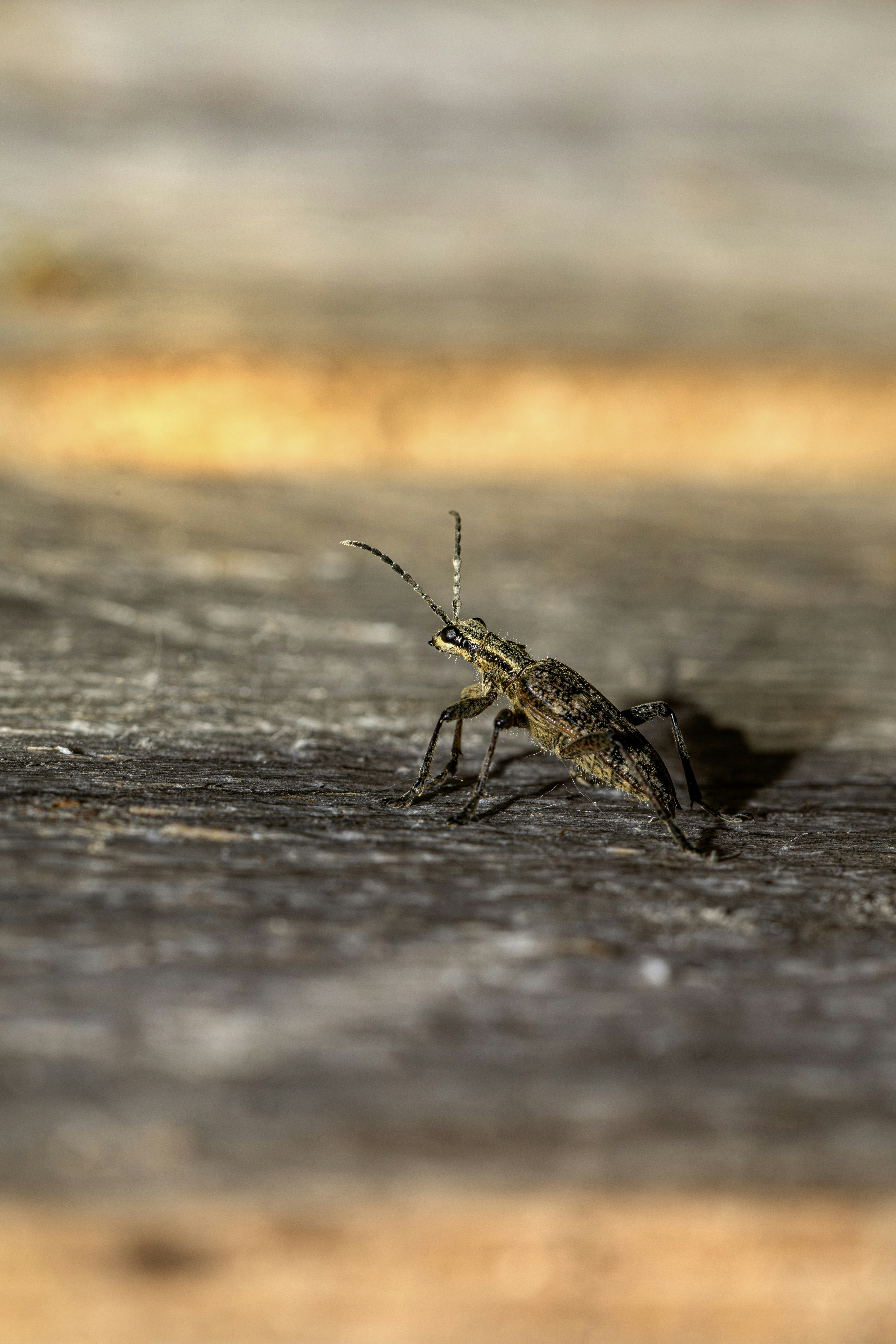 Photo by erik_karits