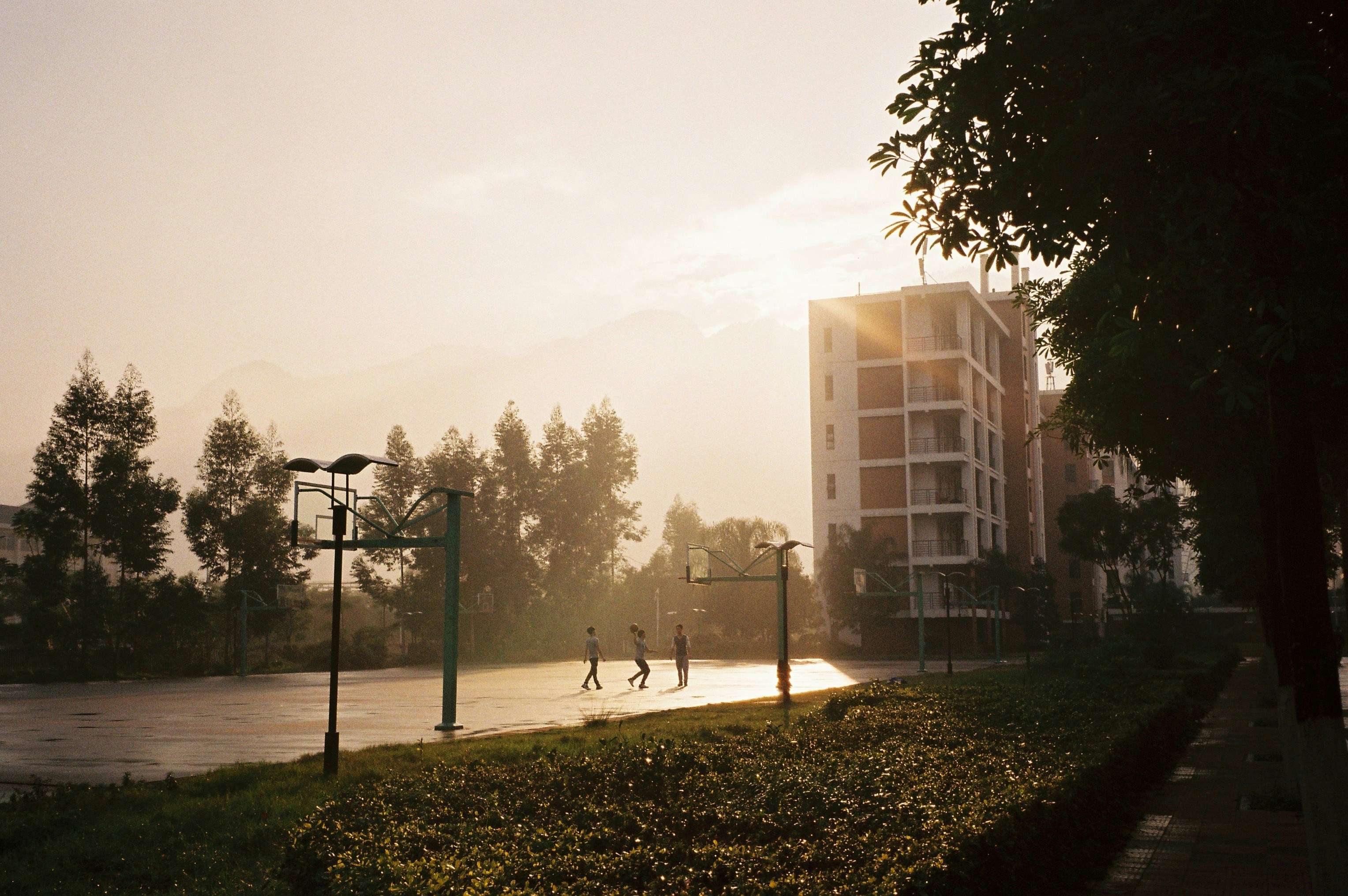 科技巨頭驚天內幕！你絕對不敢相信他們在隱瞞什麼！