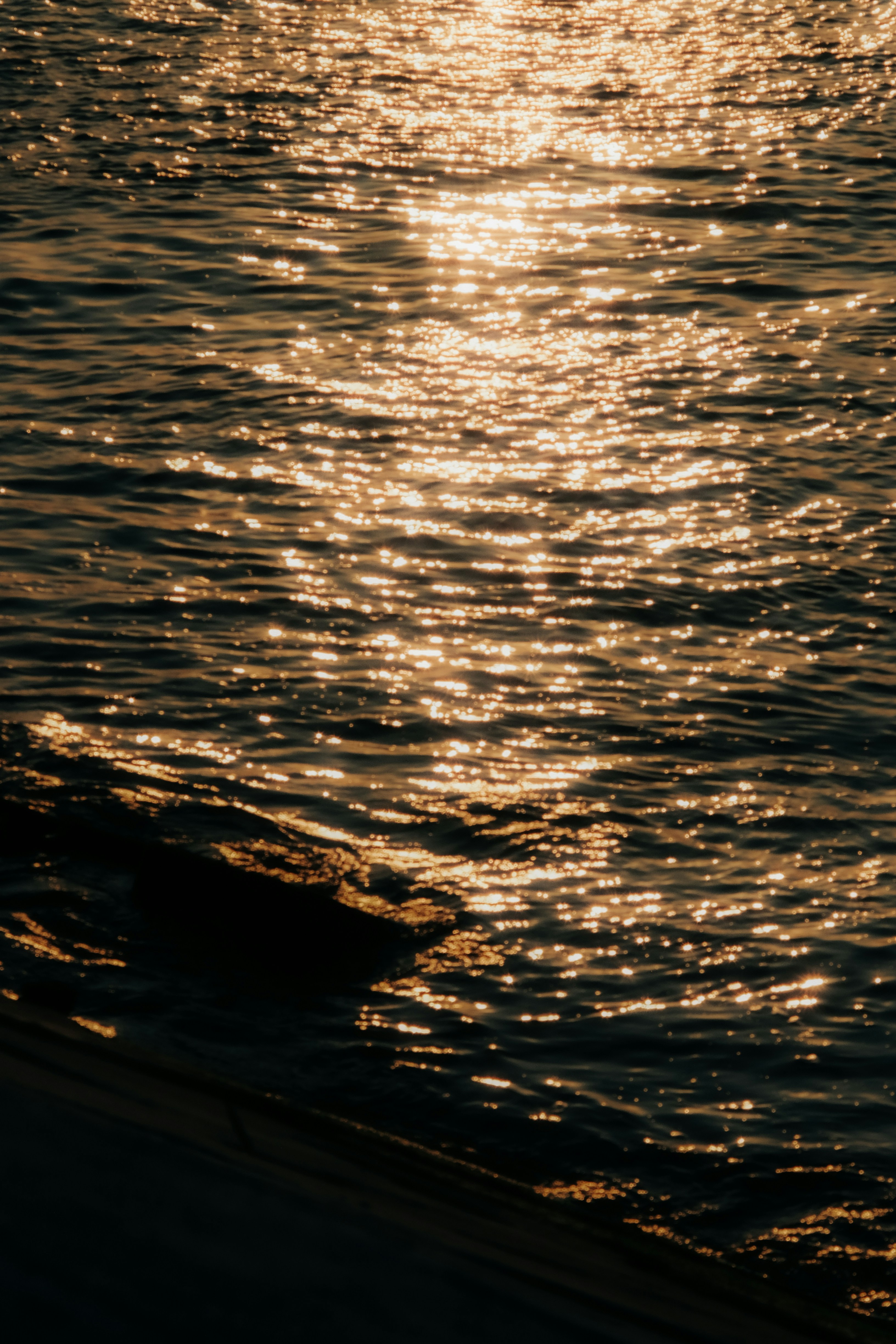 Photo by binhnguyen3033