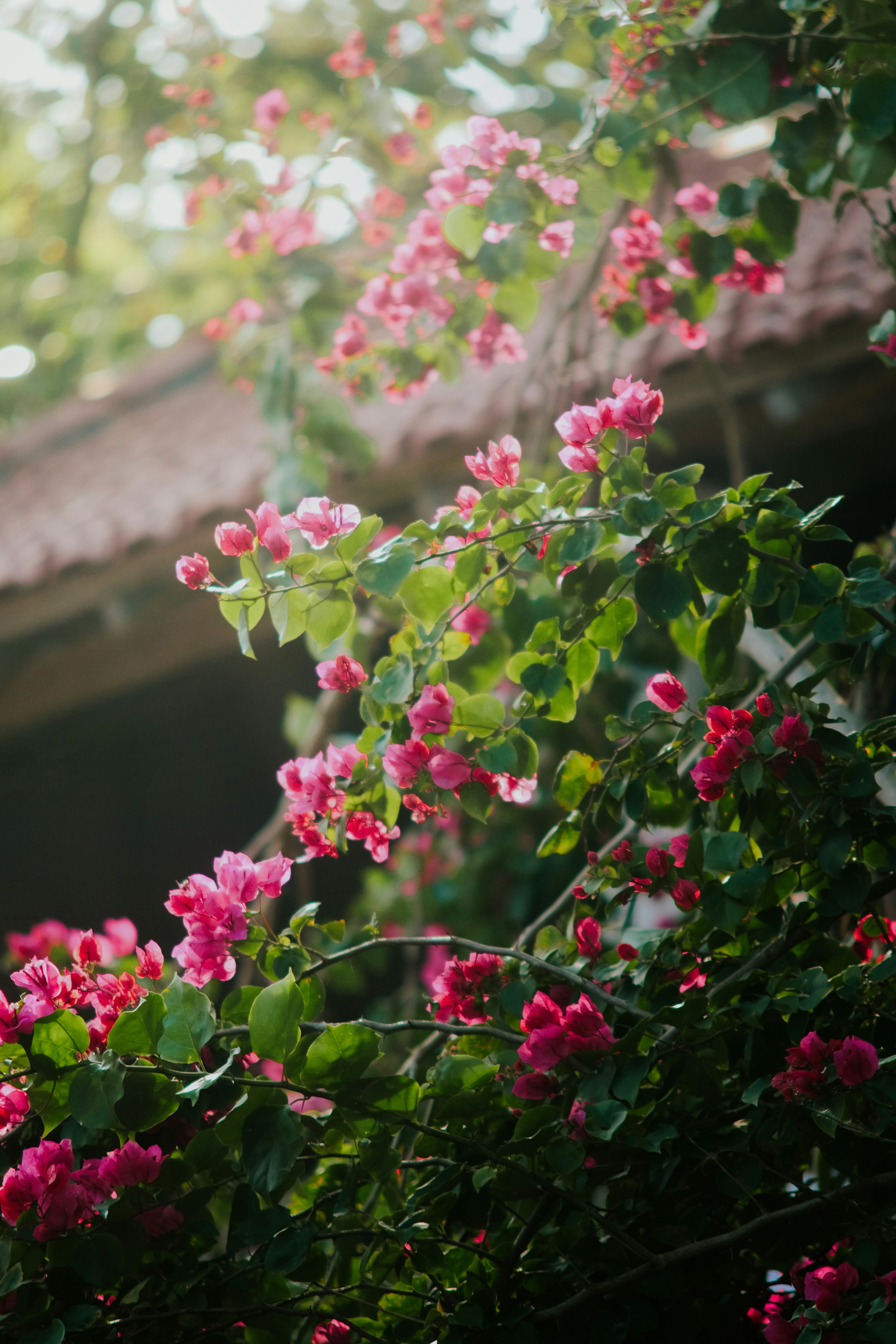 Photo by binhnguyen3033