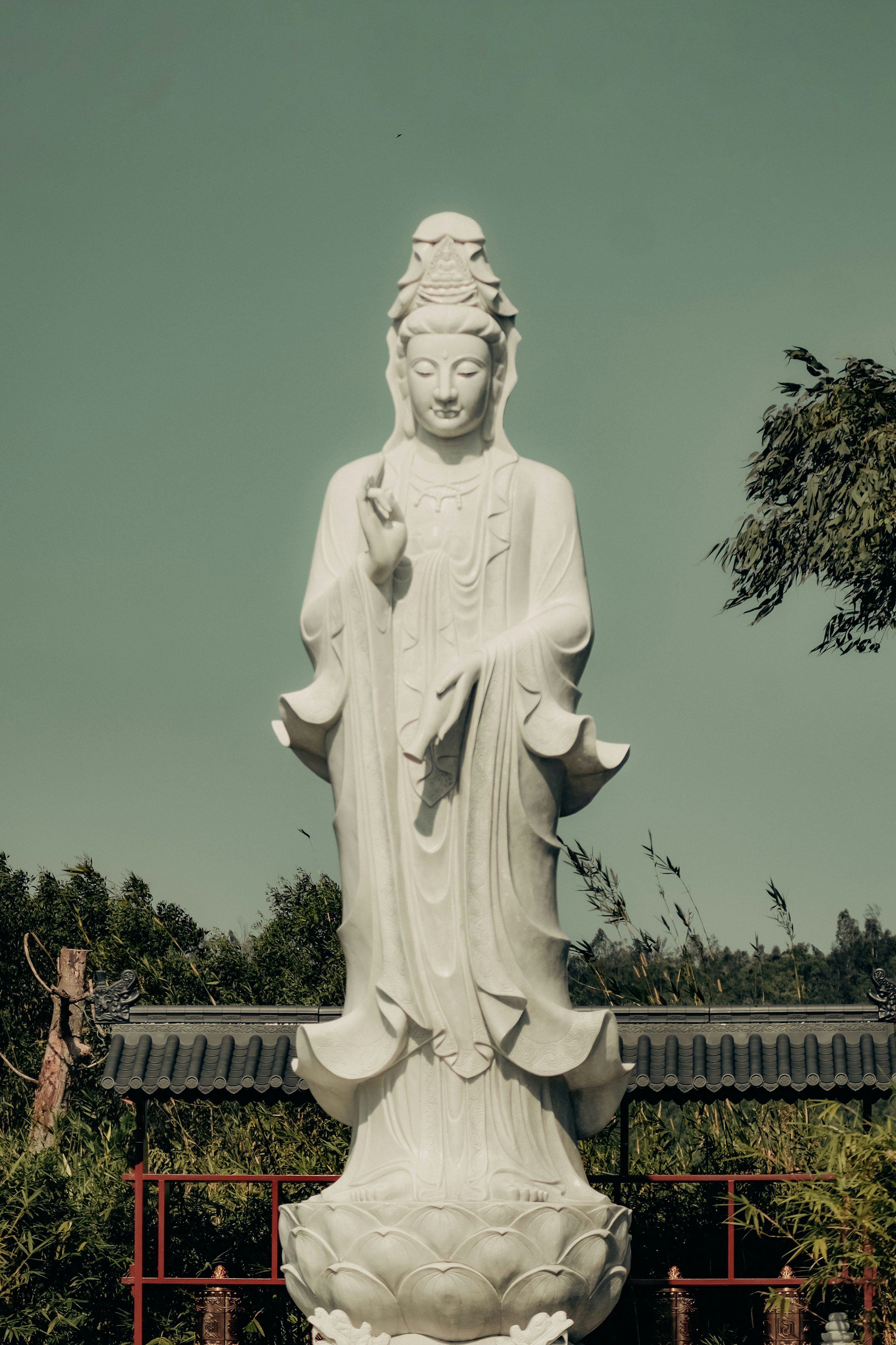 Photo by binhnguyen3033