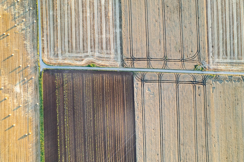 farm fields, agricultural crops, rural farmland, harvest