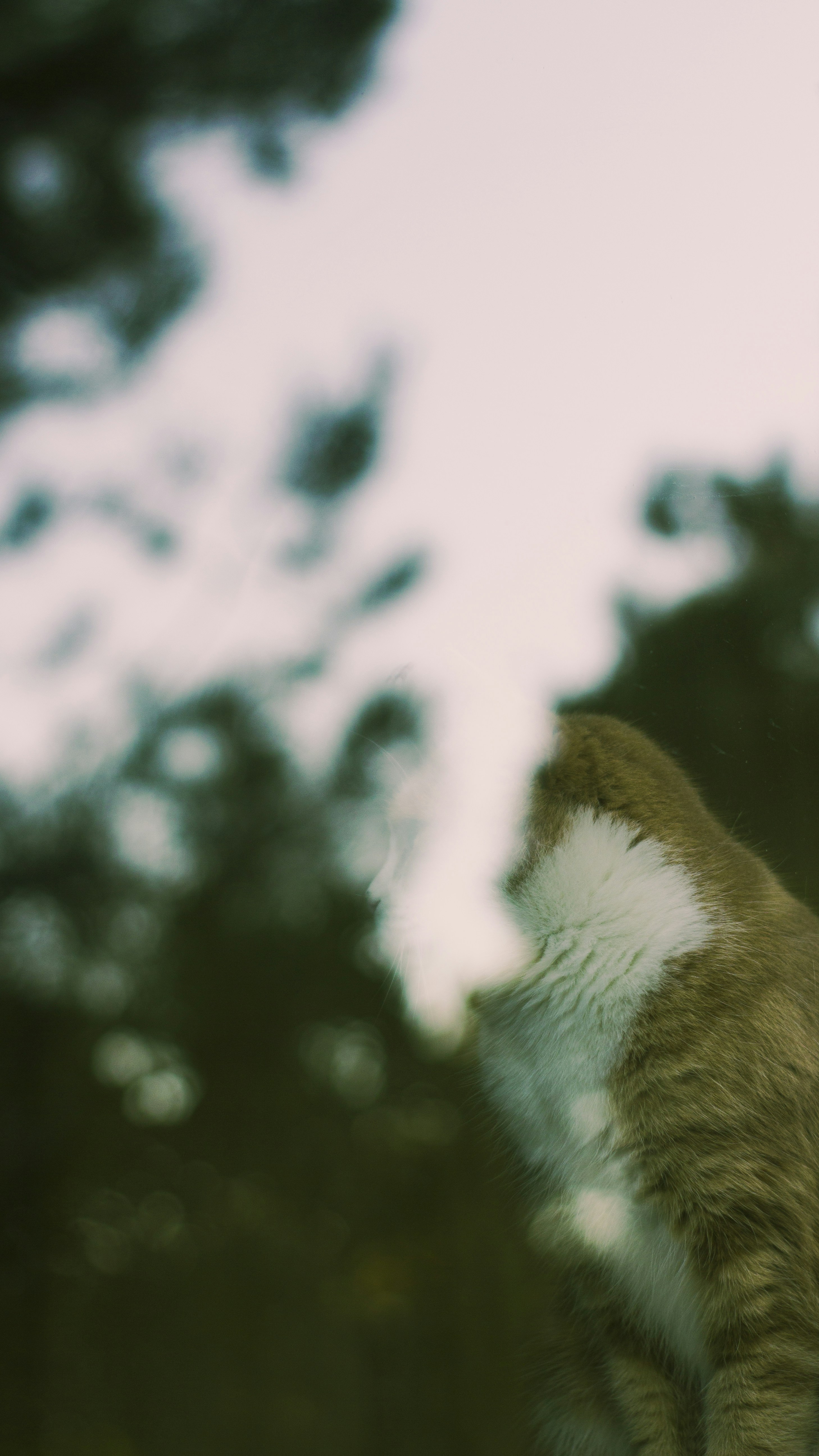 Photo by jtorresgarcia_uy