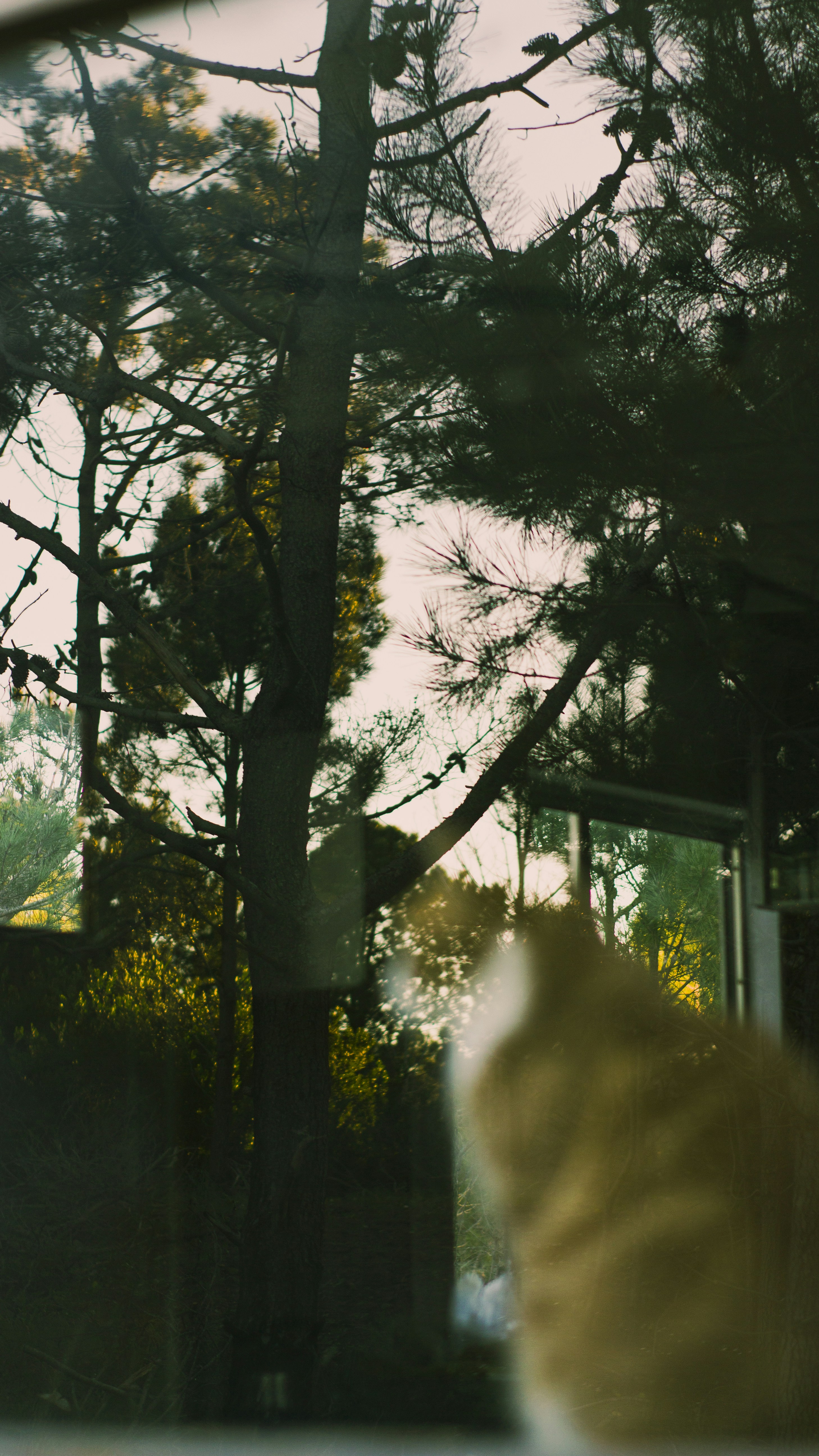 Photo by jtorresgarcia_uy