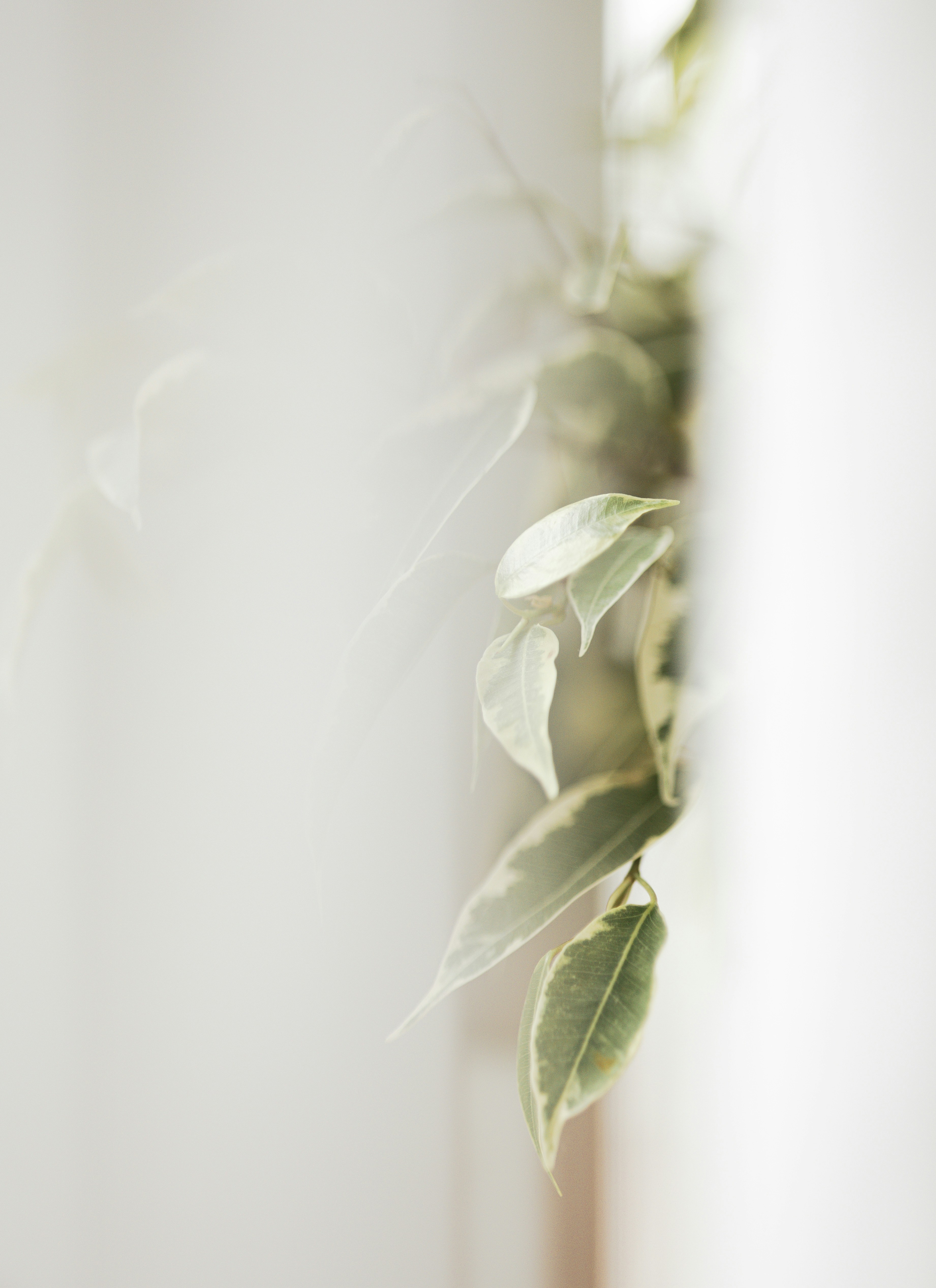 The Evolution of Mobile Valet & Portable Detailing in 2026: Tools, Ops, and New Revenue Paths