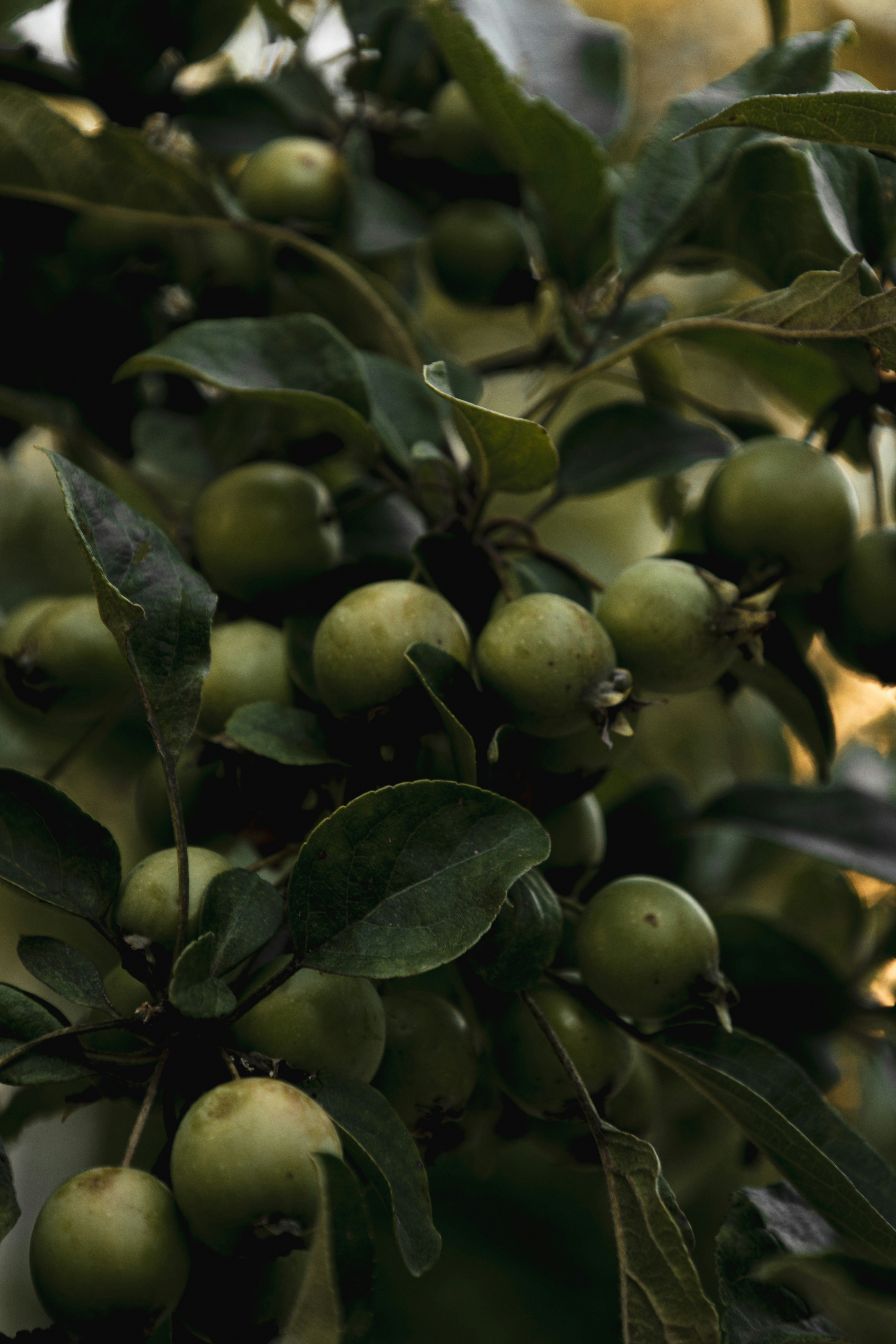 Photo by anna_c_wilhelm