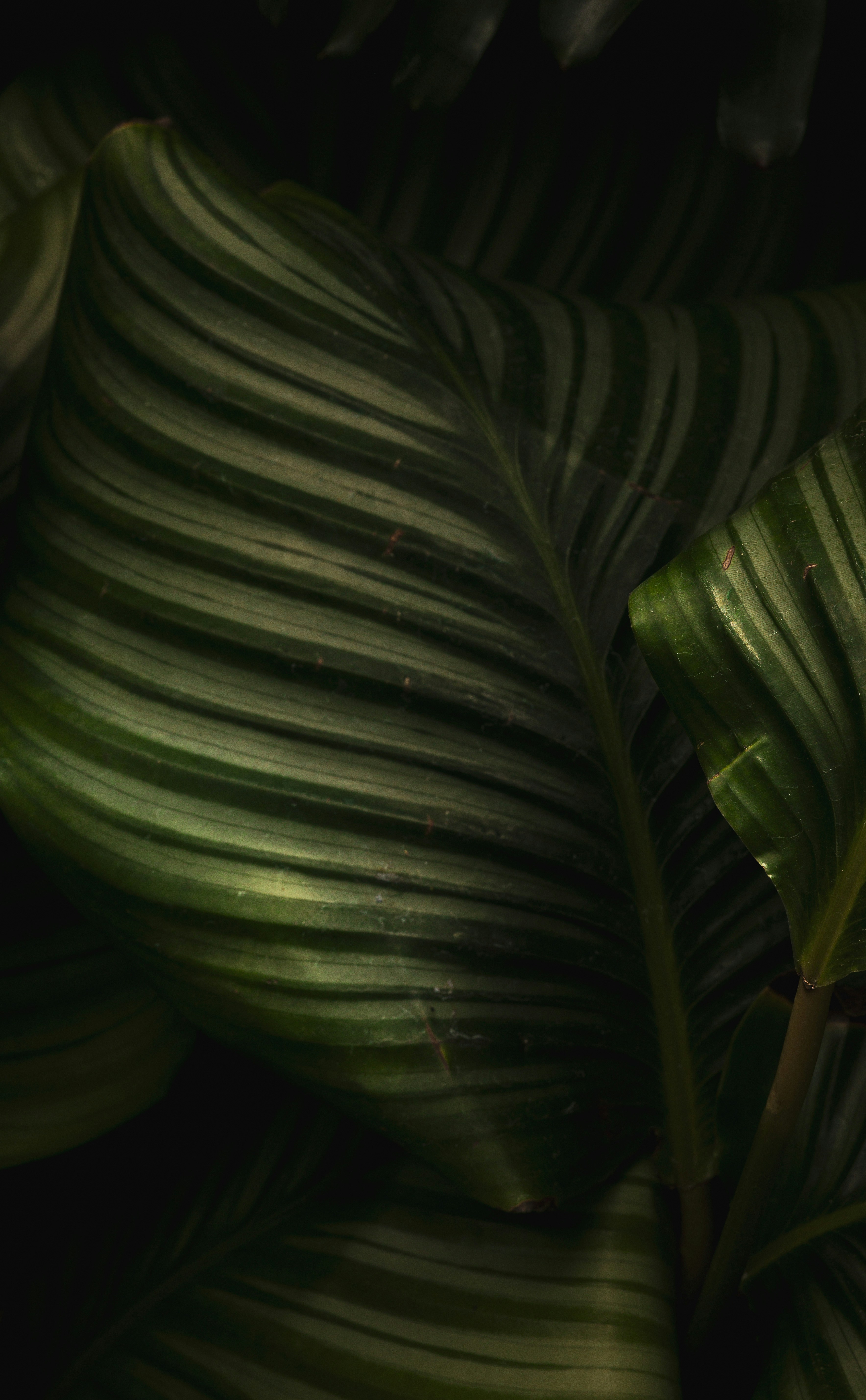 Photo by anna_c_wilhelm