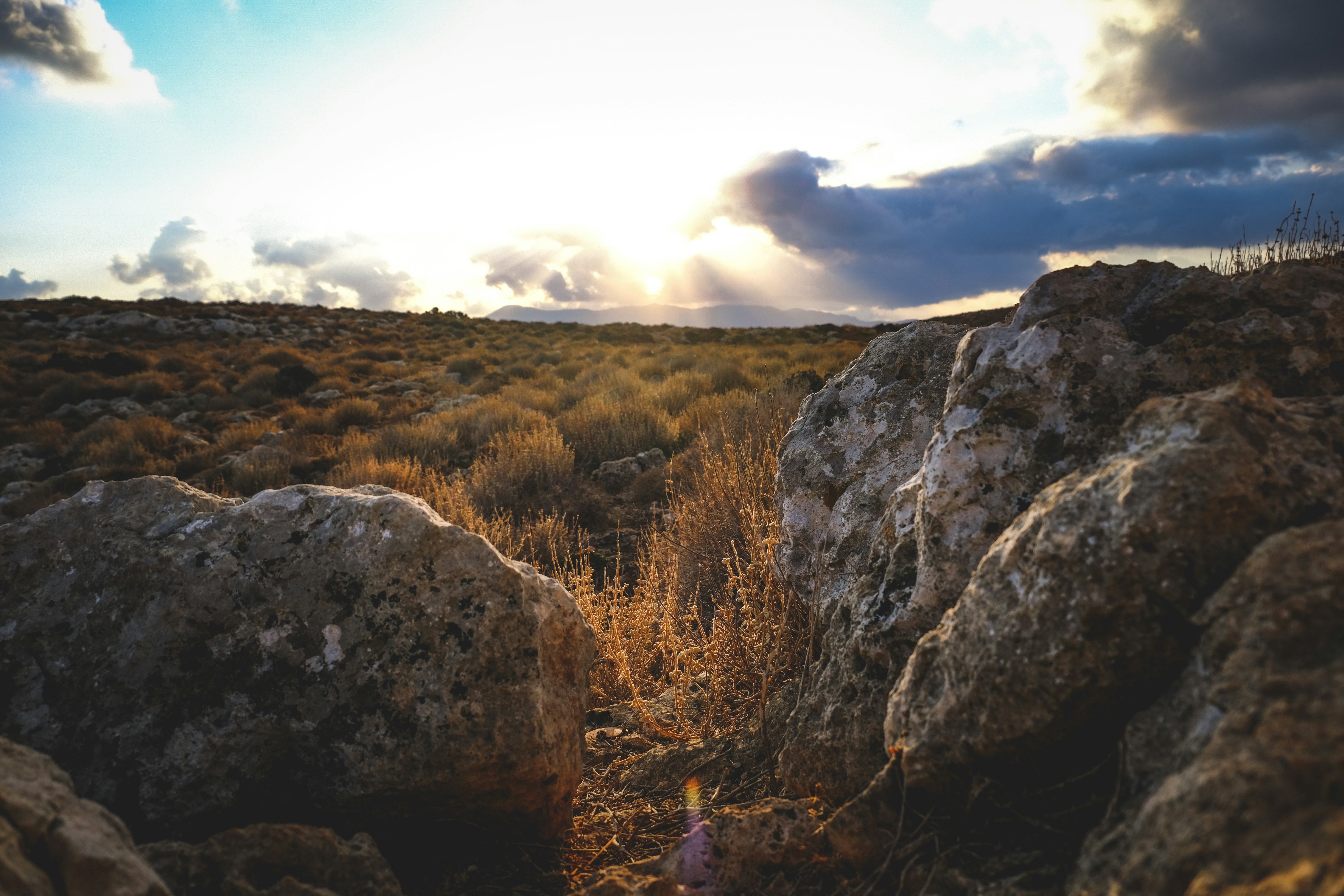 Photo by francesco_ungaro