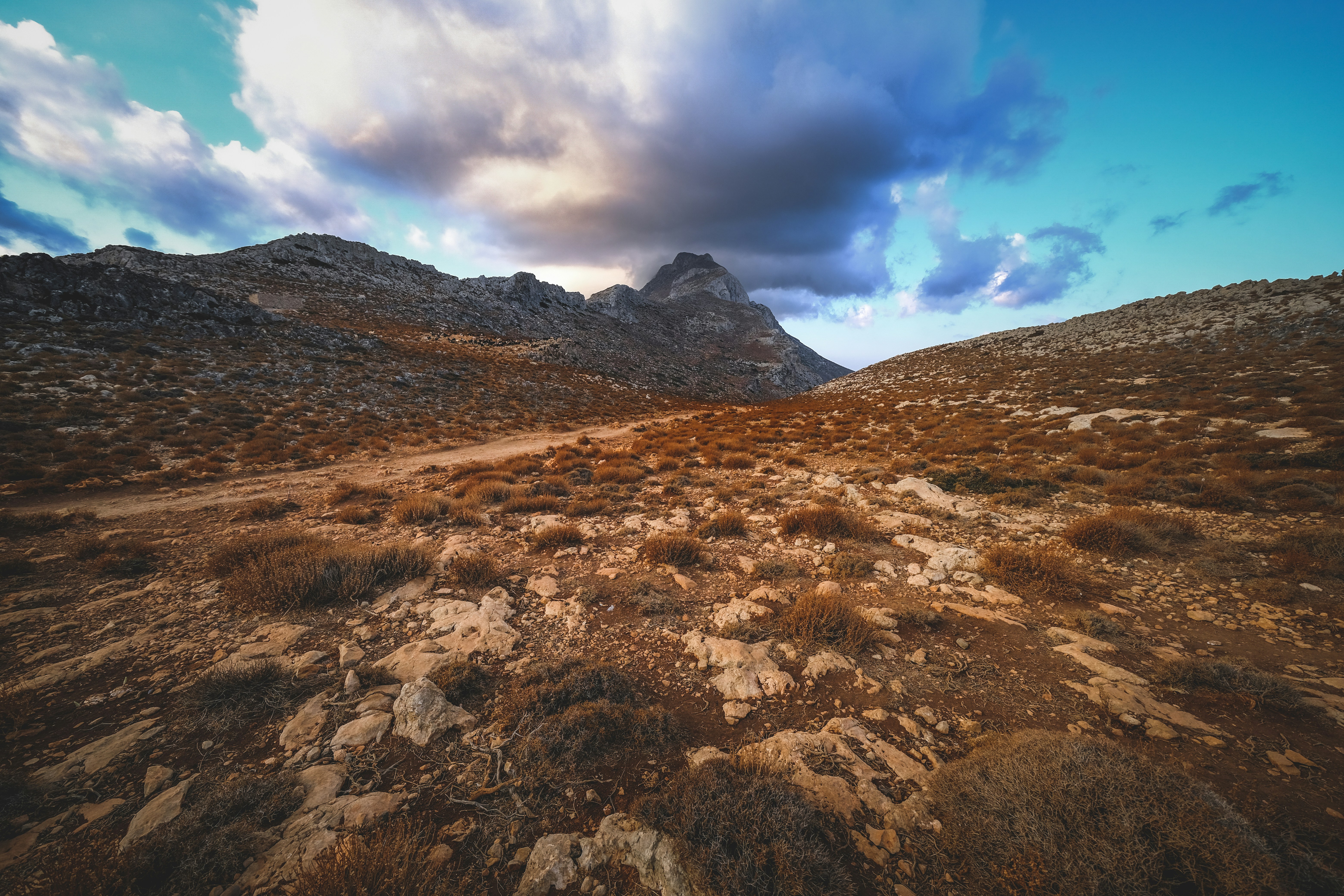 Photo by francesco_ungaro