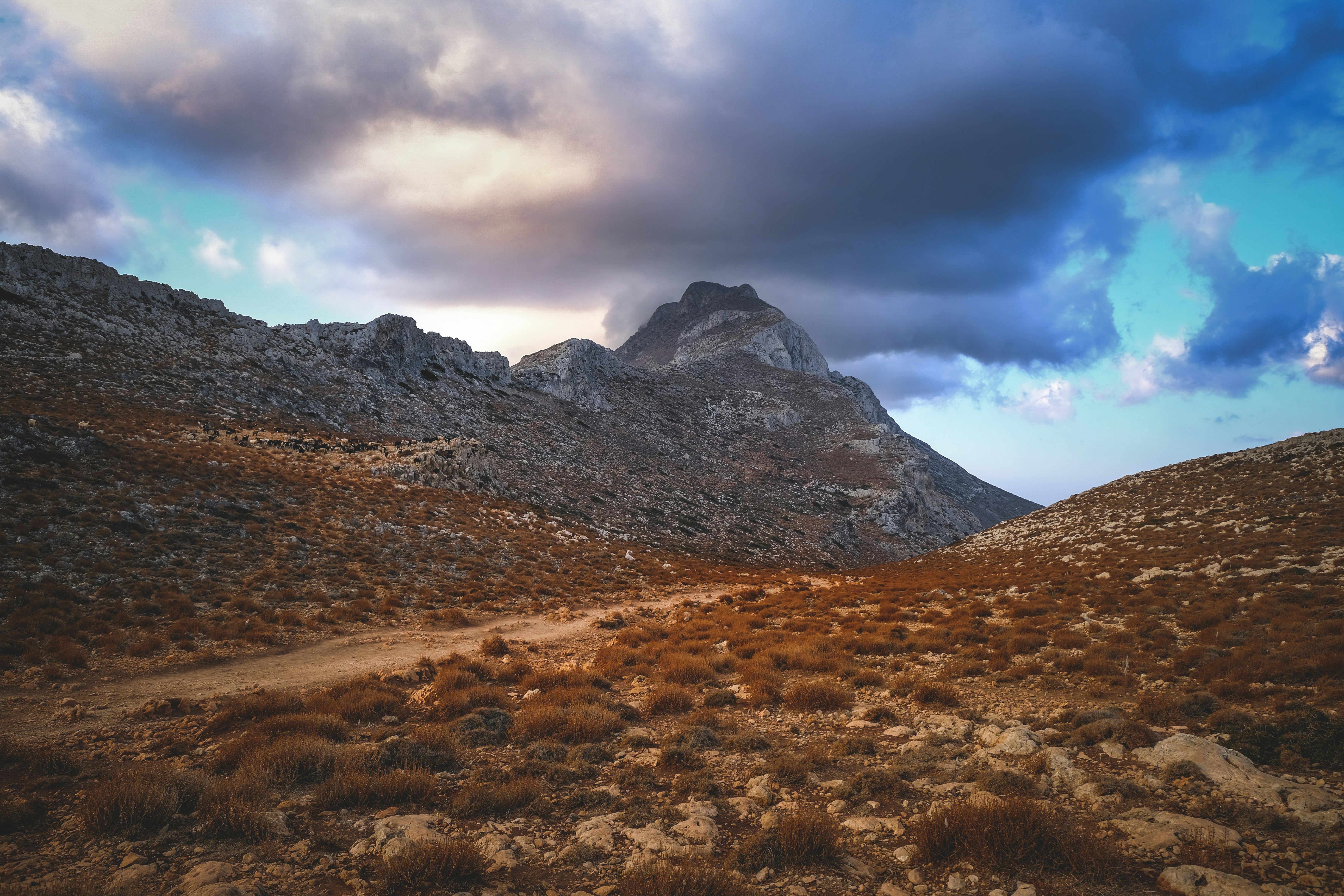 Photo by francesco_ungaro