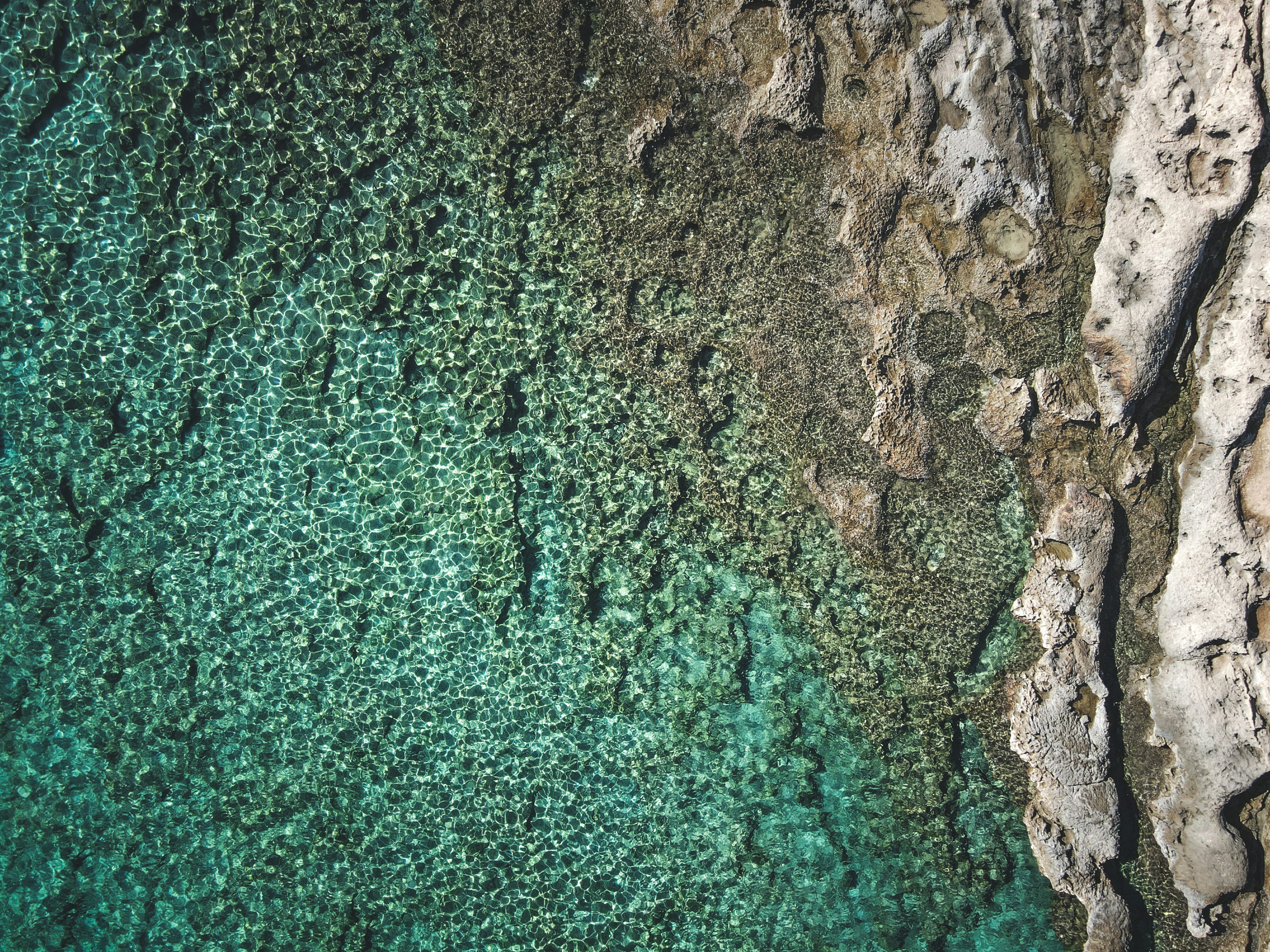 Photo by francesco_ungaro