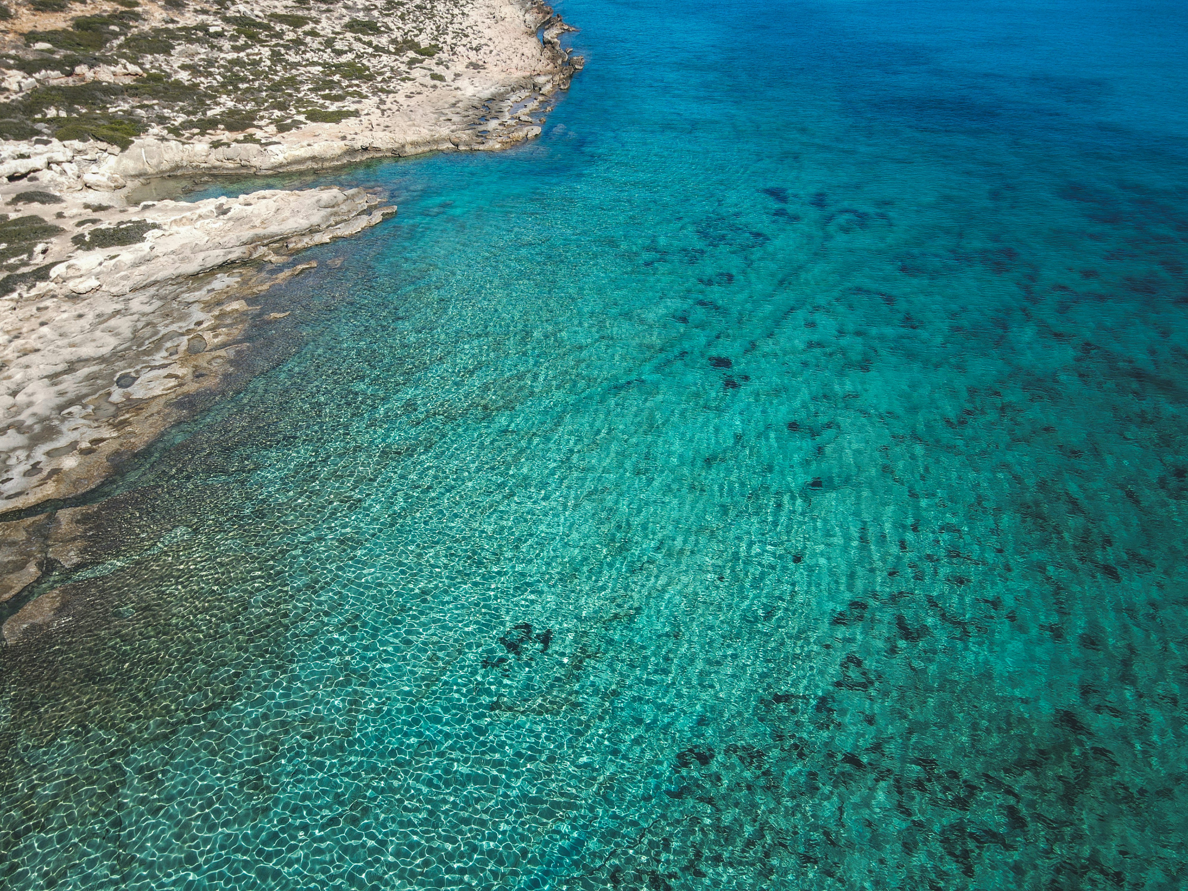 Photo by francesco_ungaro