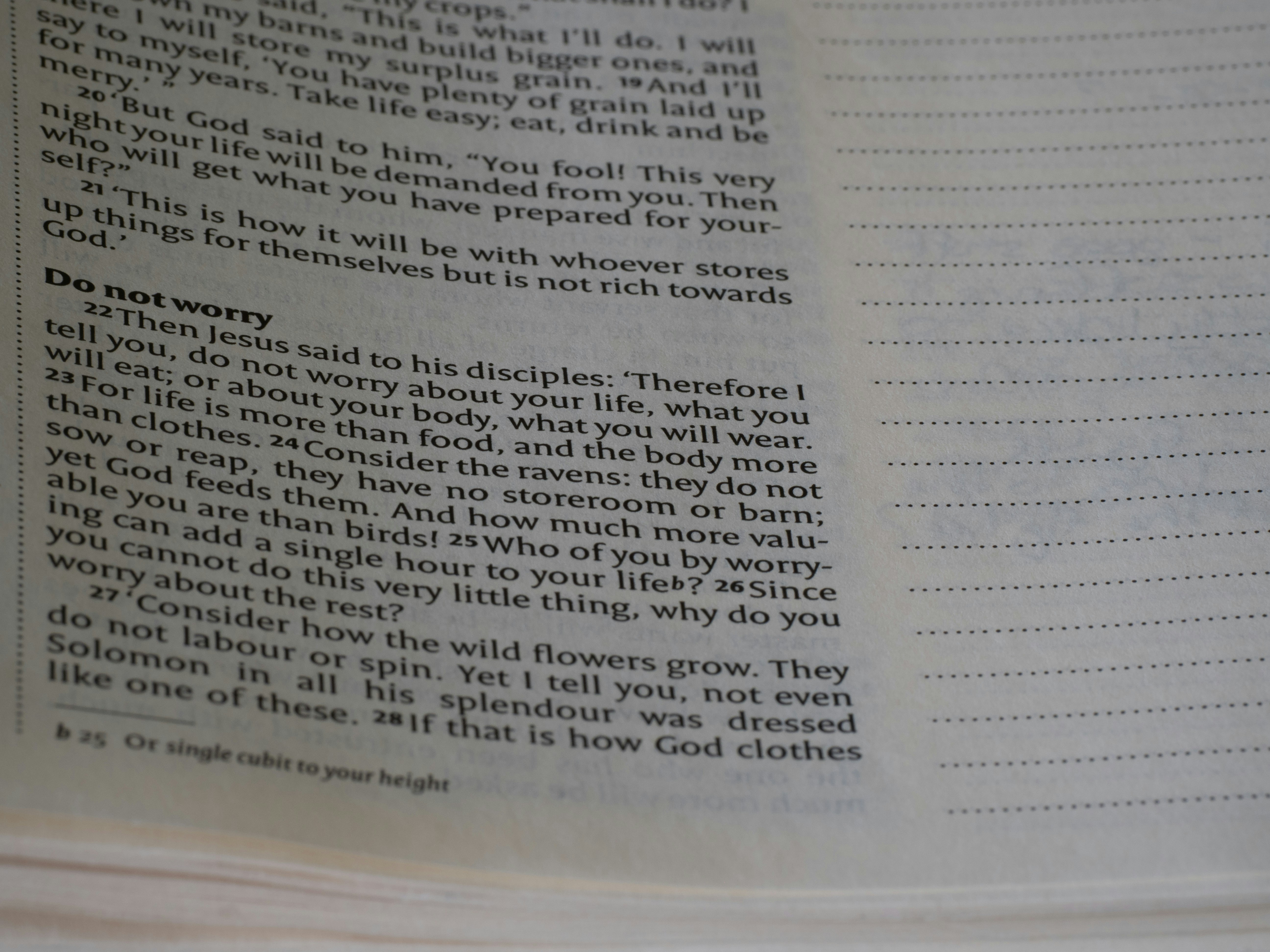 Photo by brett_jordan