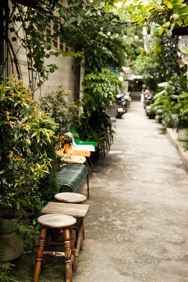 A row of benches sitting next to a lush green forest