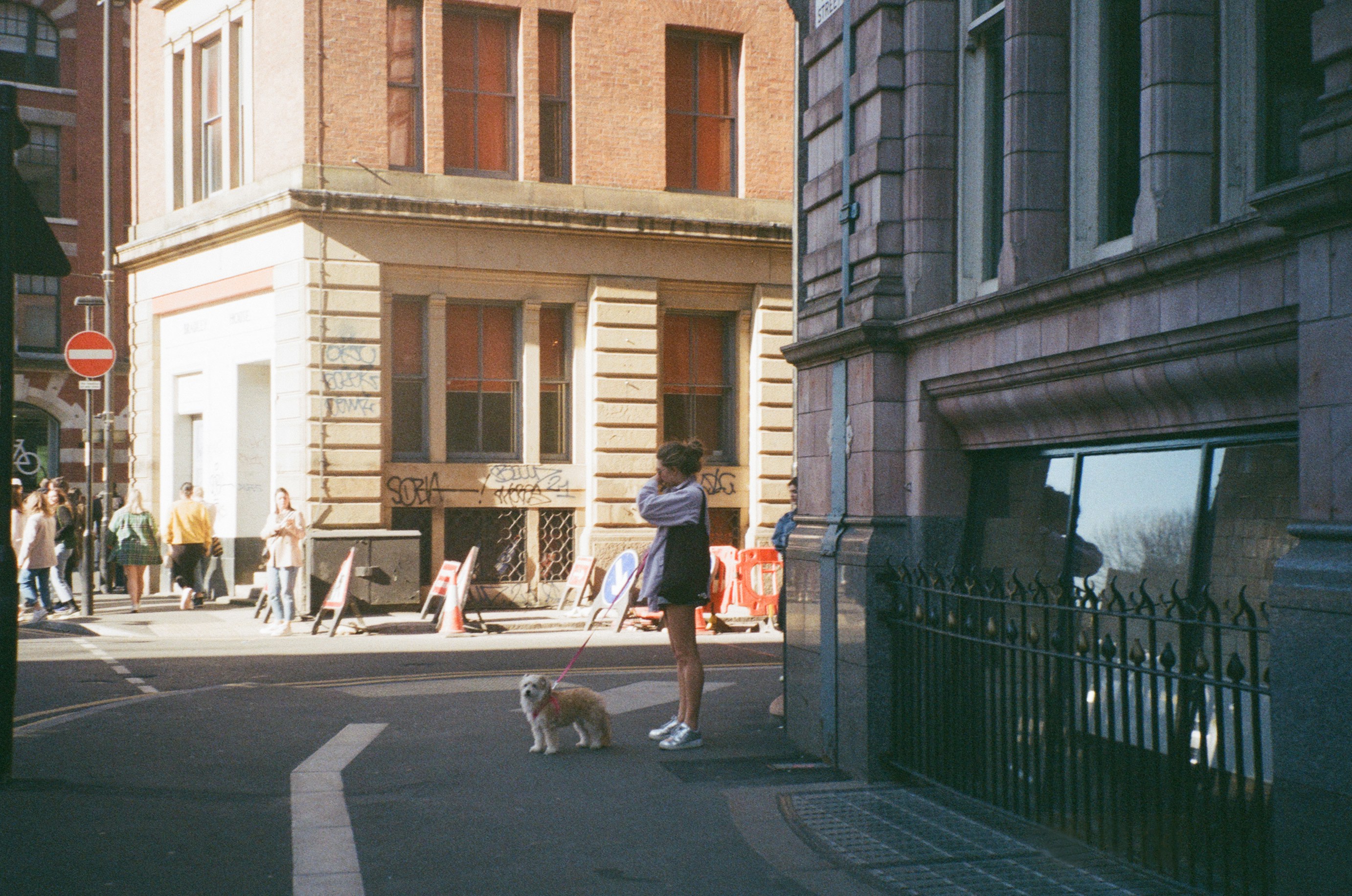 A person standing on a street corner with a dog