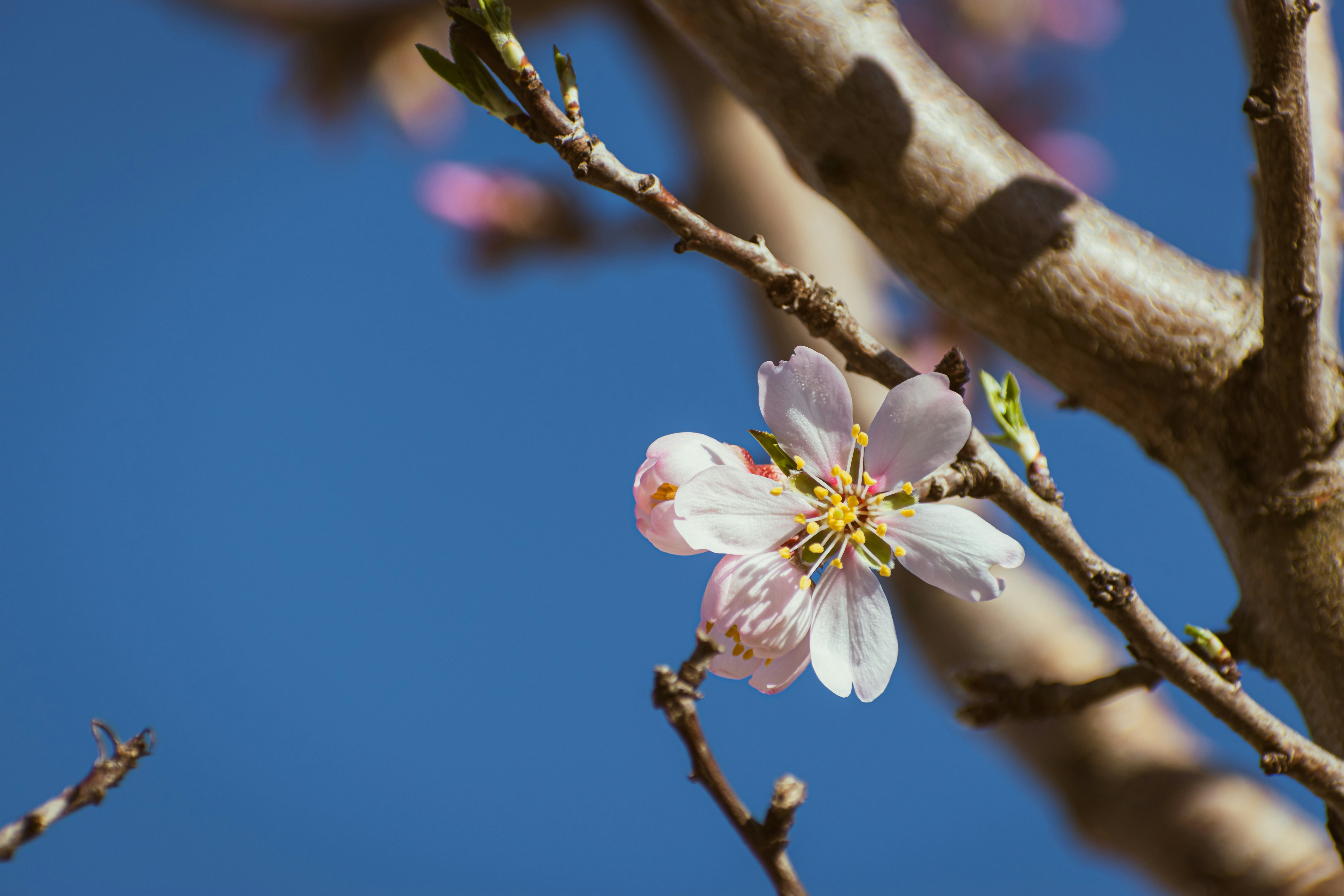 Photo by niki_emmert