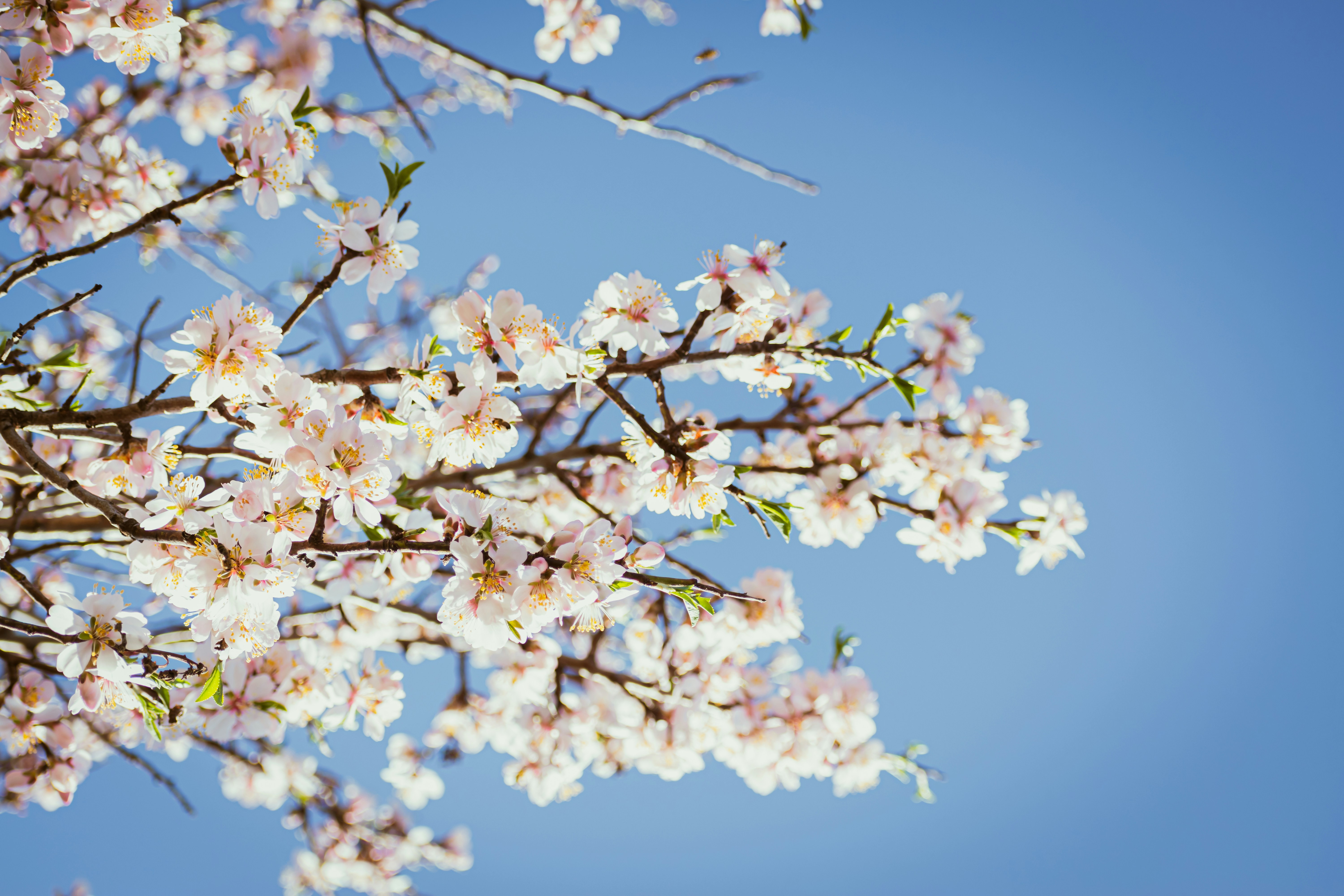 Photo by niki_emmert