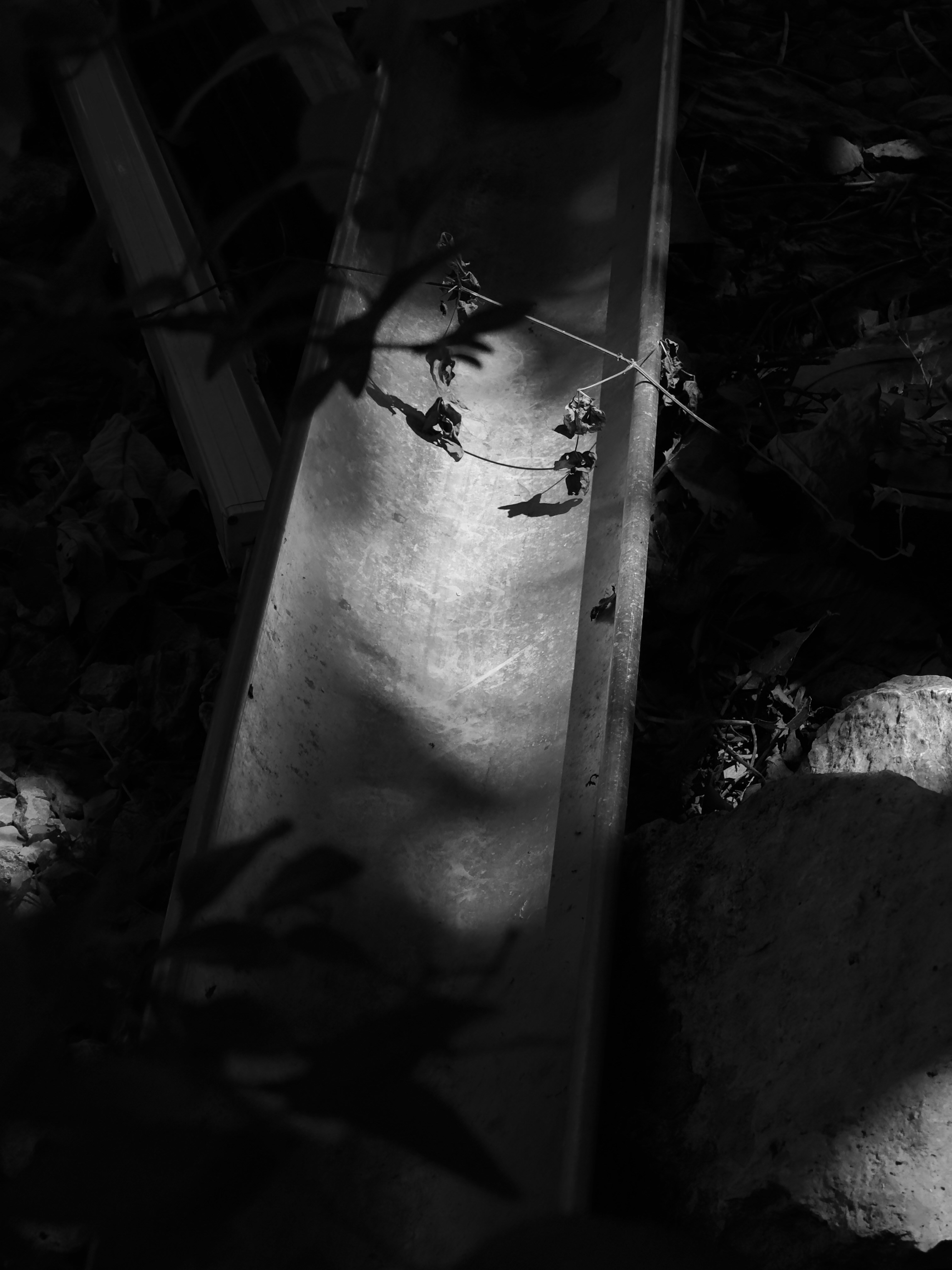 Photo by holdingerbence