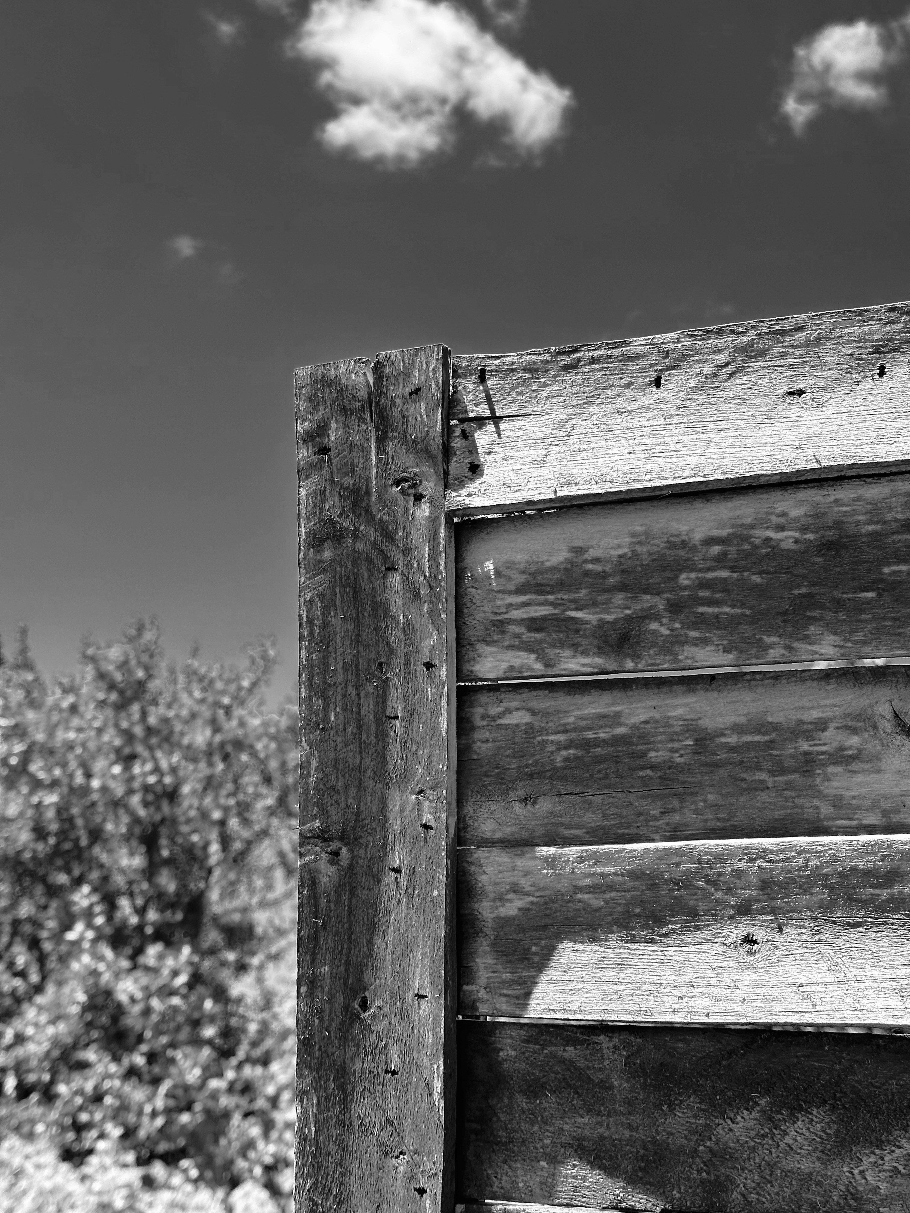 Photo by holdingerbence