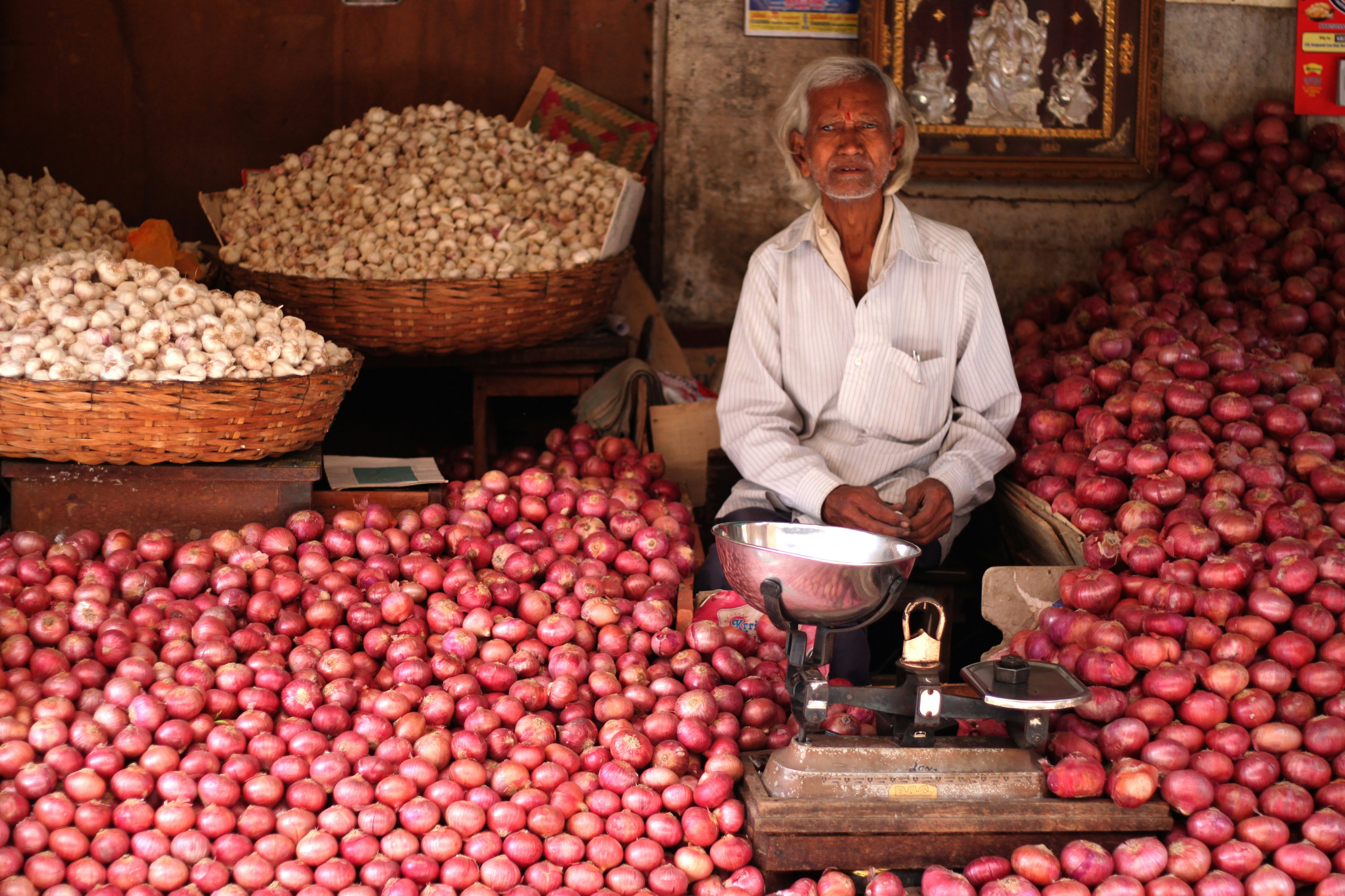 Photo by miguelbaixauli