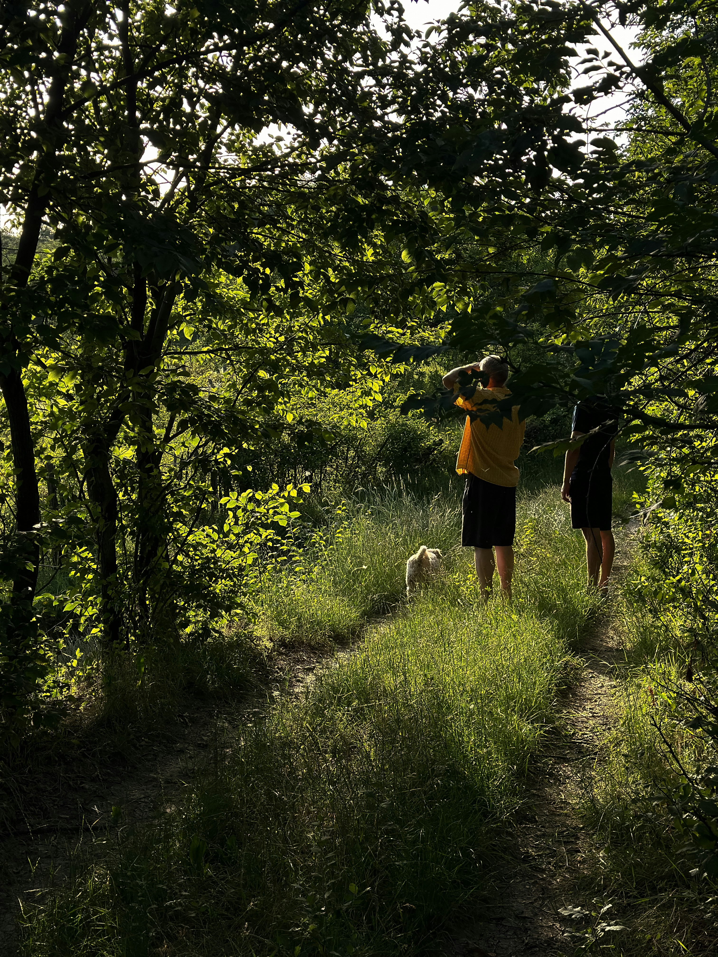 A couple of people walking down a dirt road