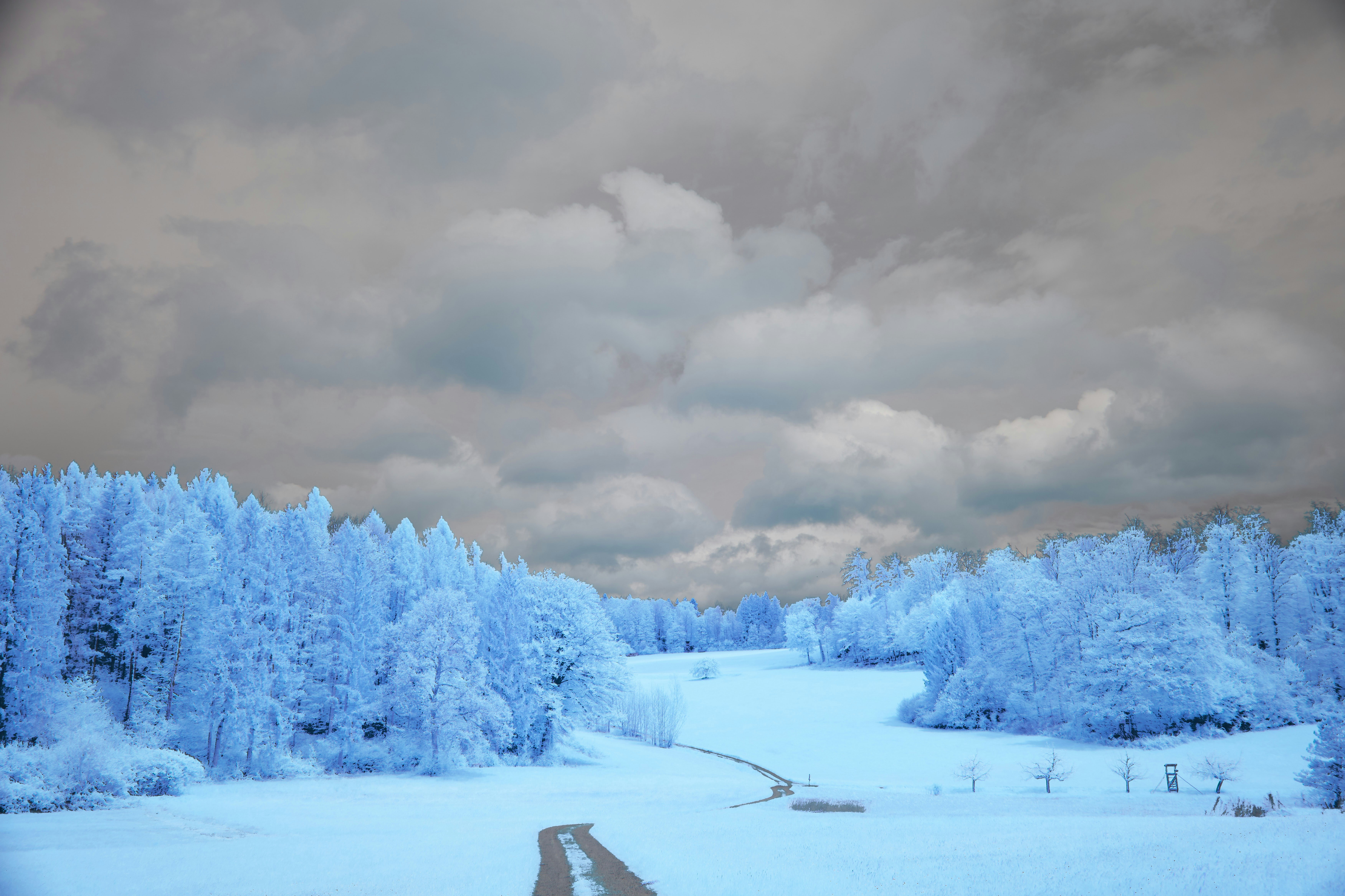 Photo by wolfgang_hasselmann