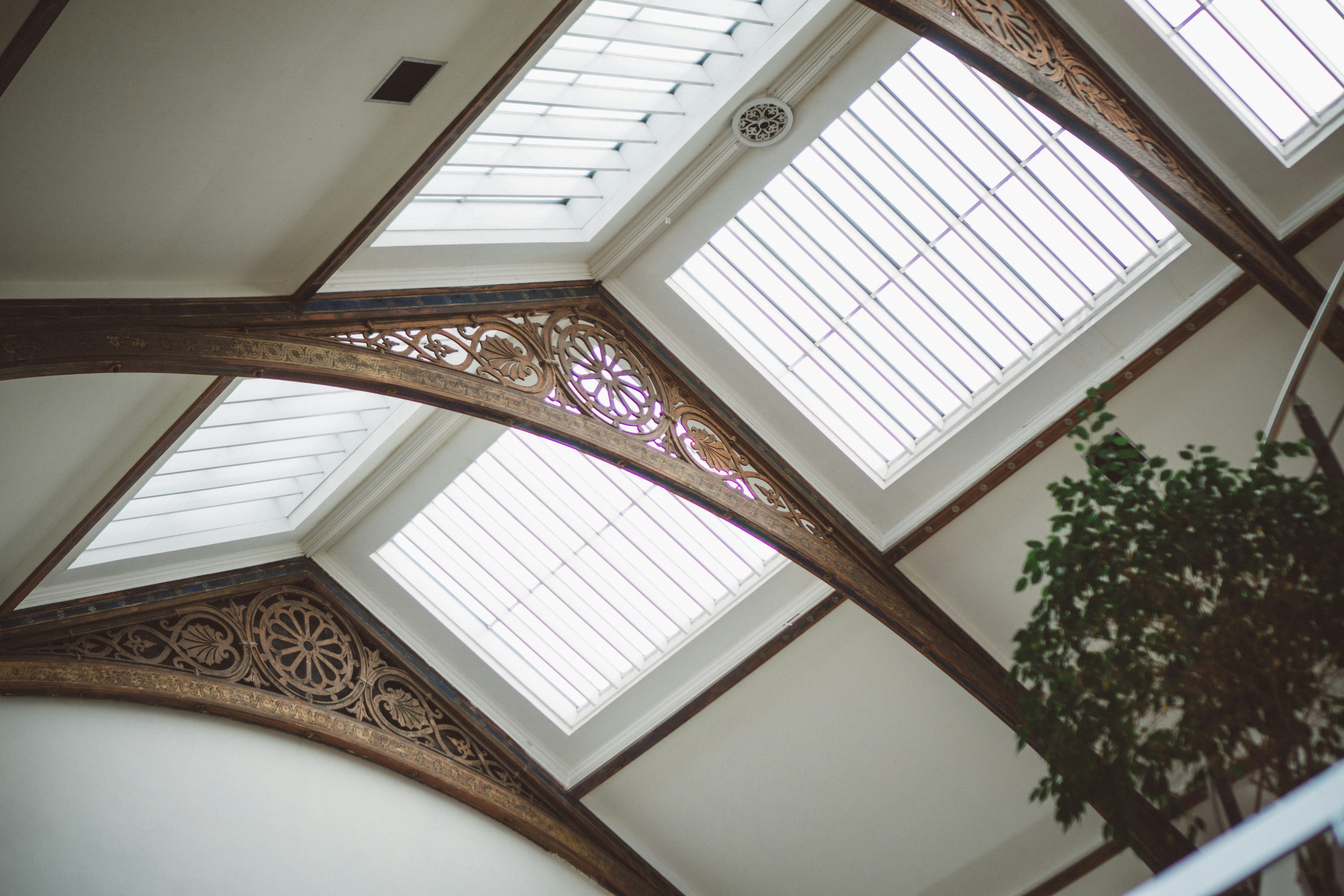 Contemporary Living Room Ceiling