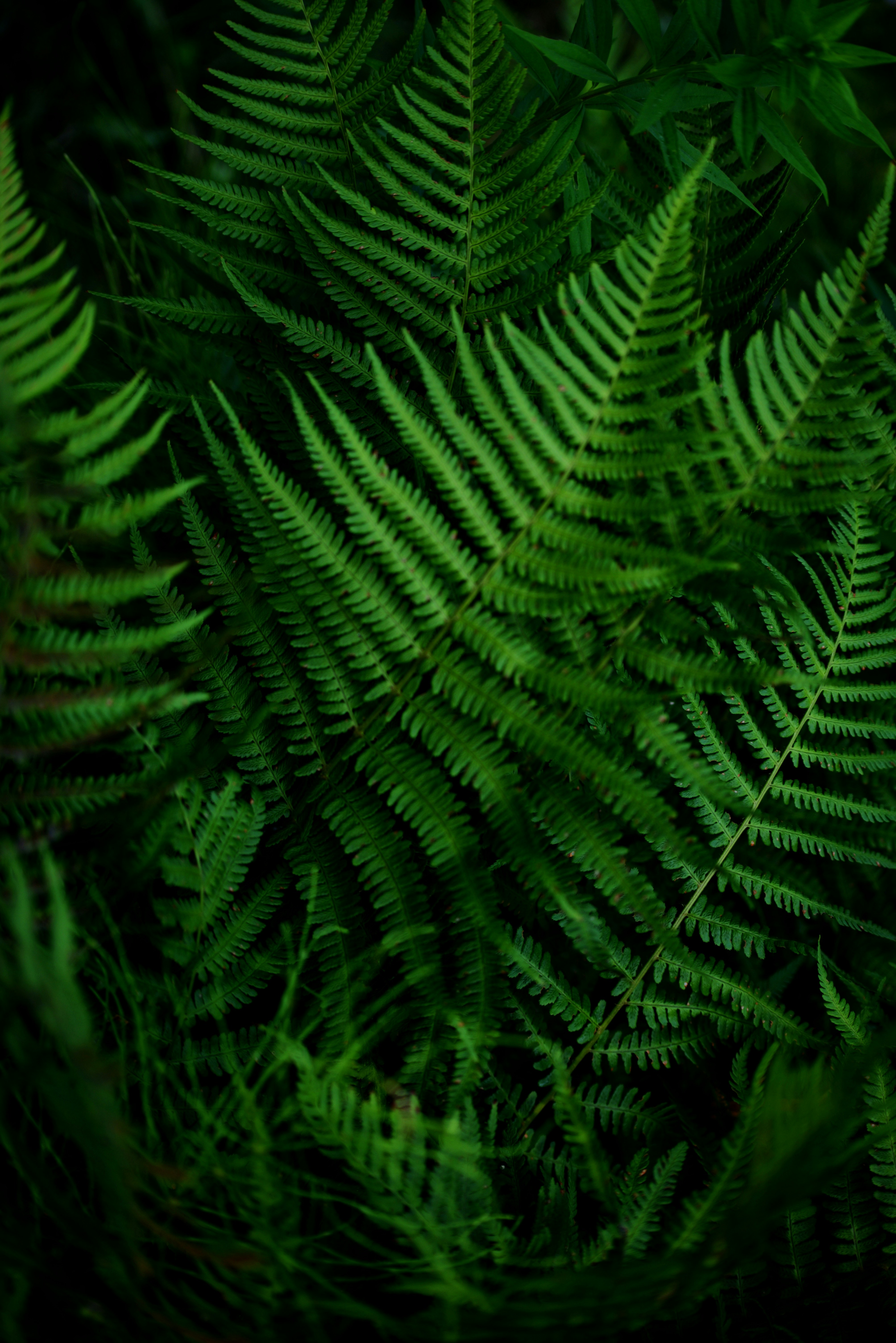 Photo by cherstve_pechivo