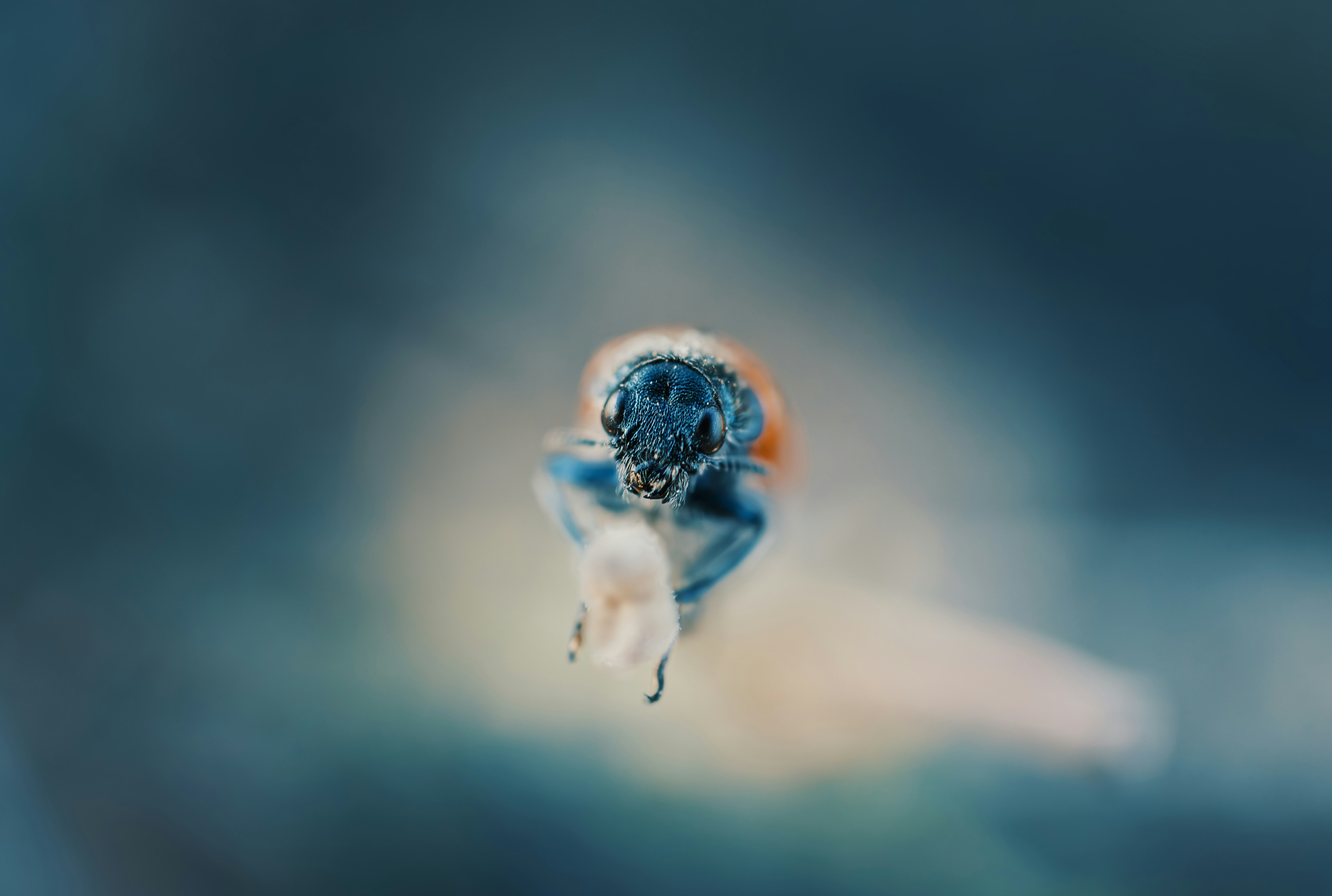 A blurry photo of a blue monkey in the air