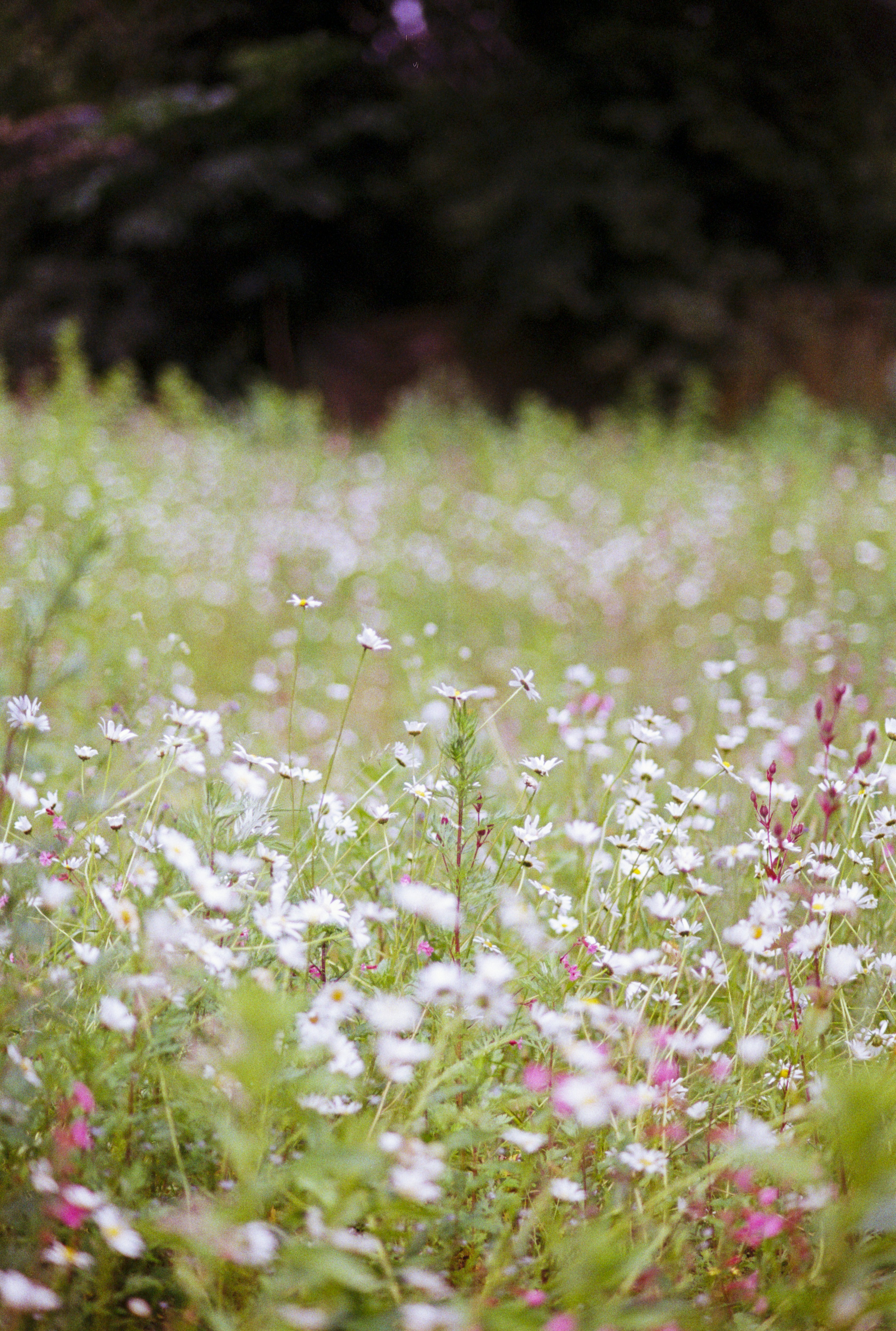 Photo by artistseyes