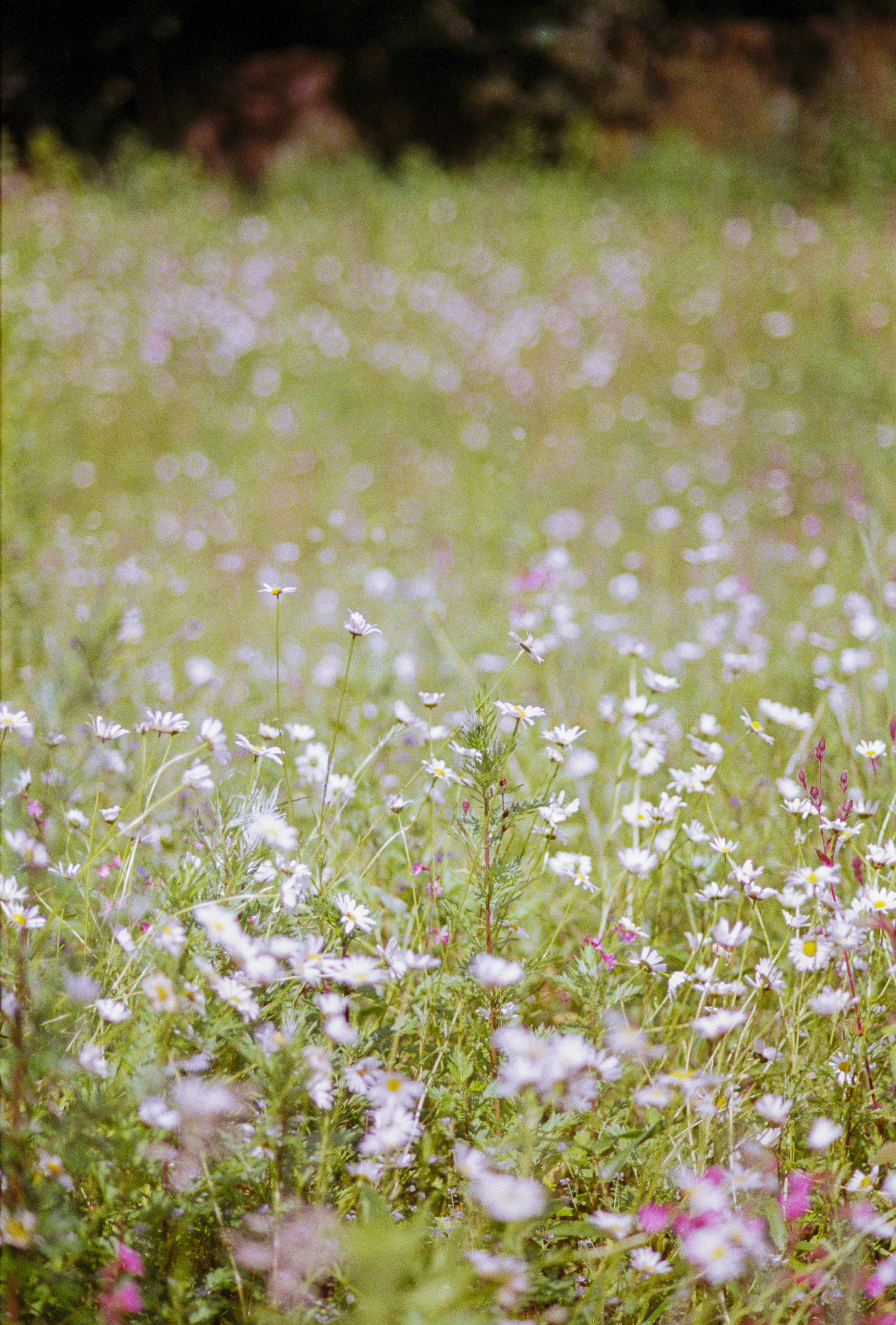 Photo by artistseyes