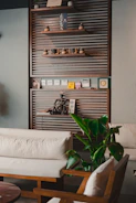A living room filled with furniture and a plant