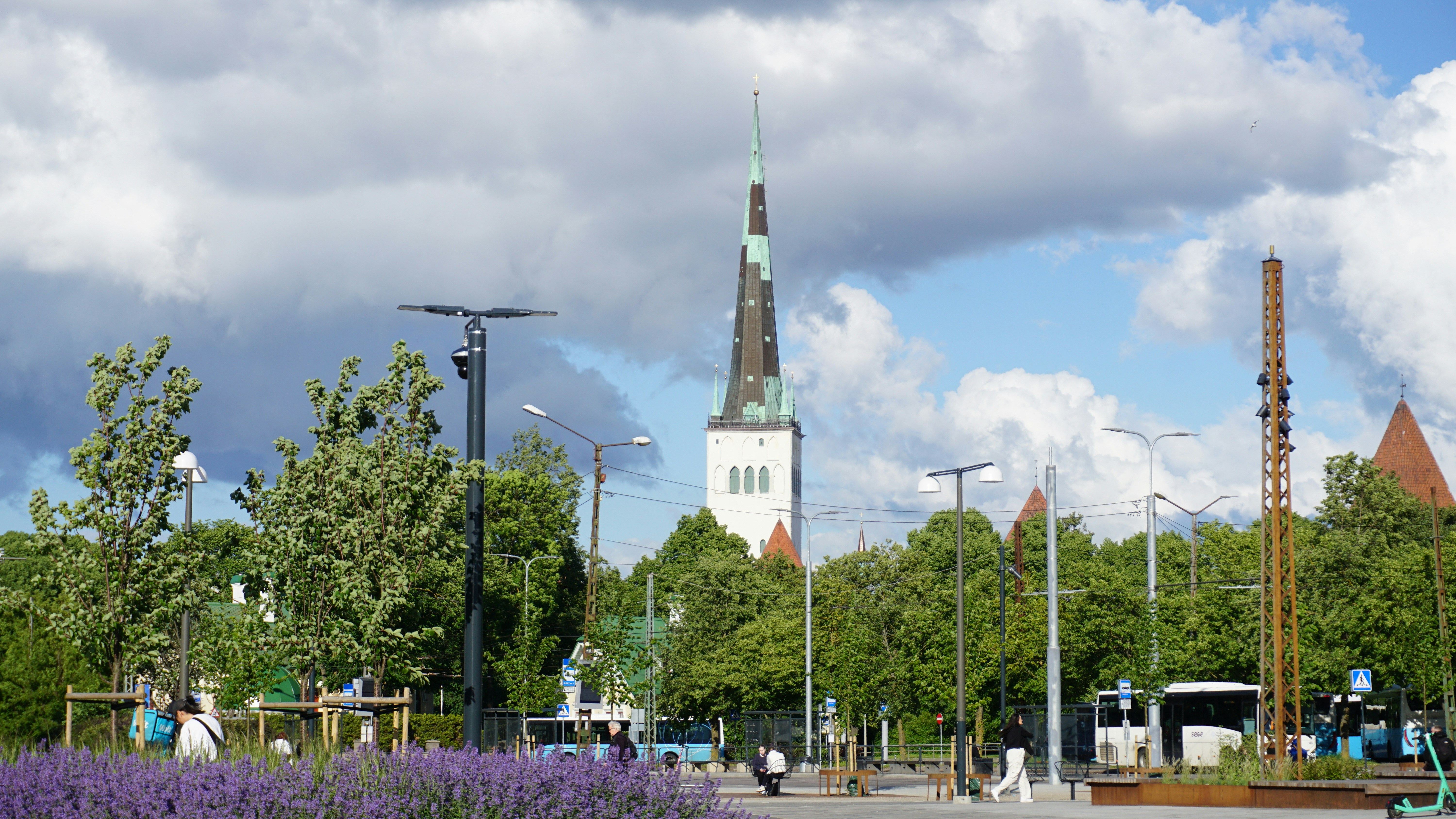 Image by Marek Lumi via Unsplash