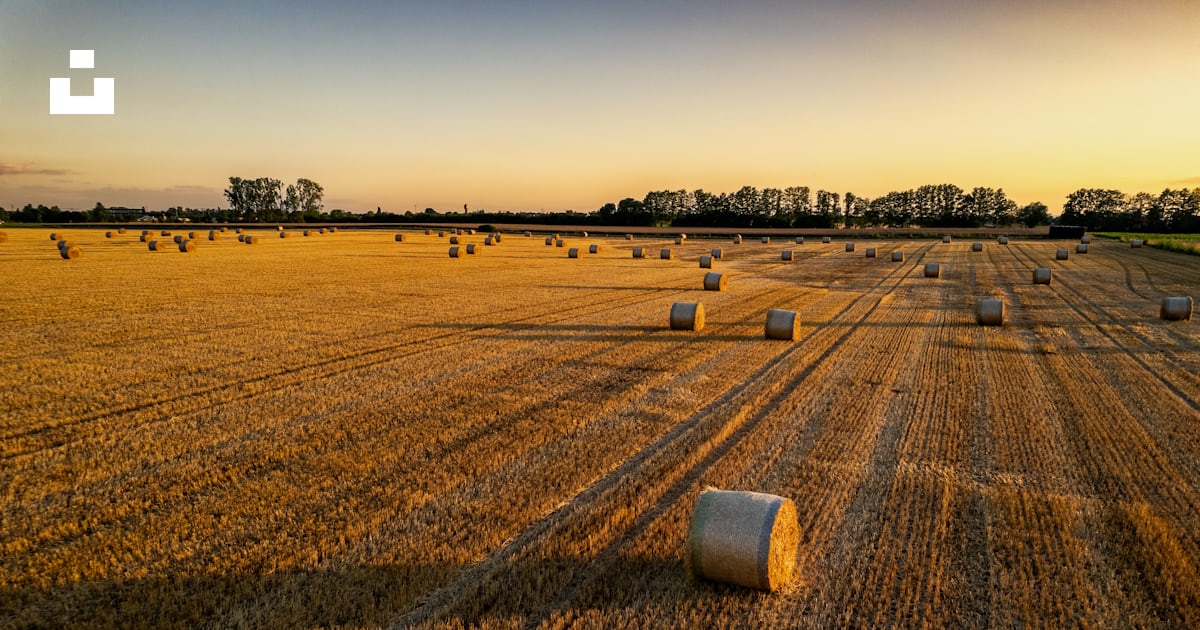 The Fields at McLendon-Chisholm City Hall