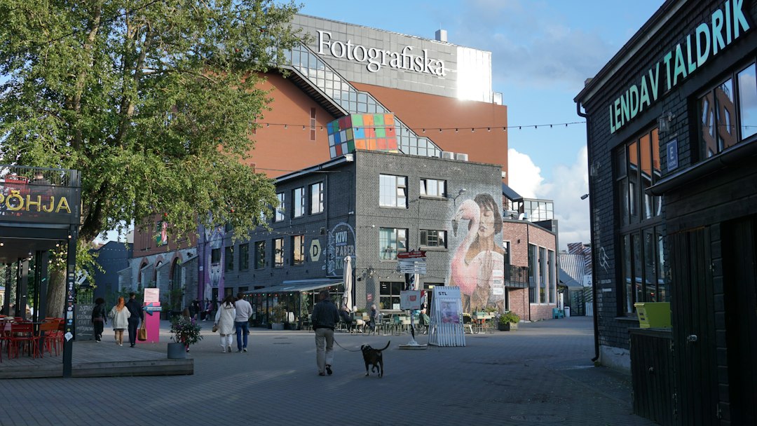 Pfafflar