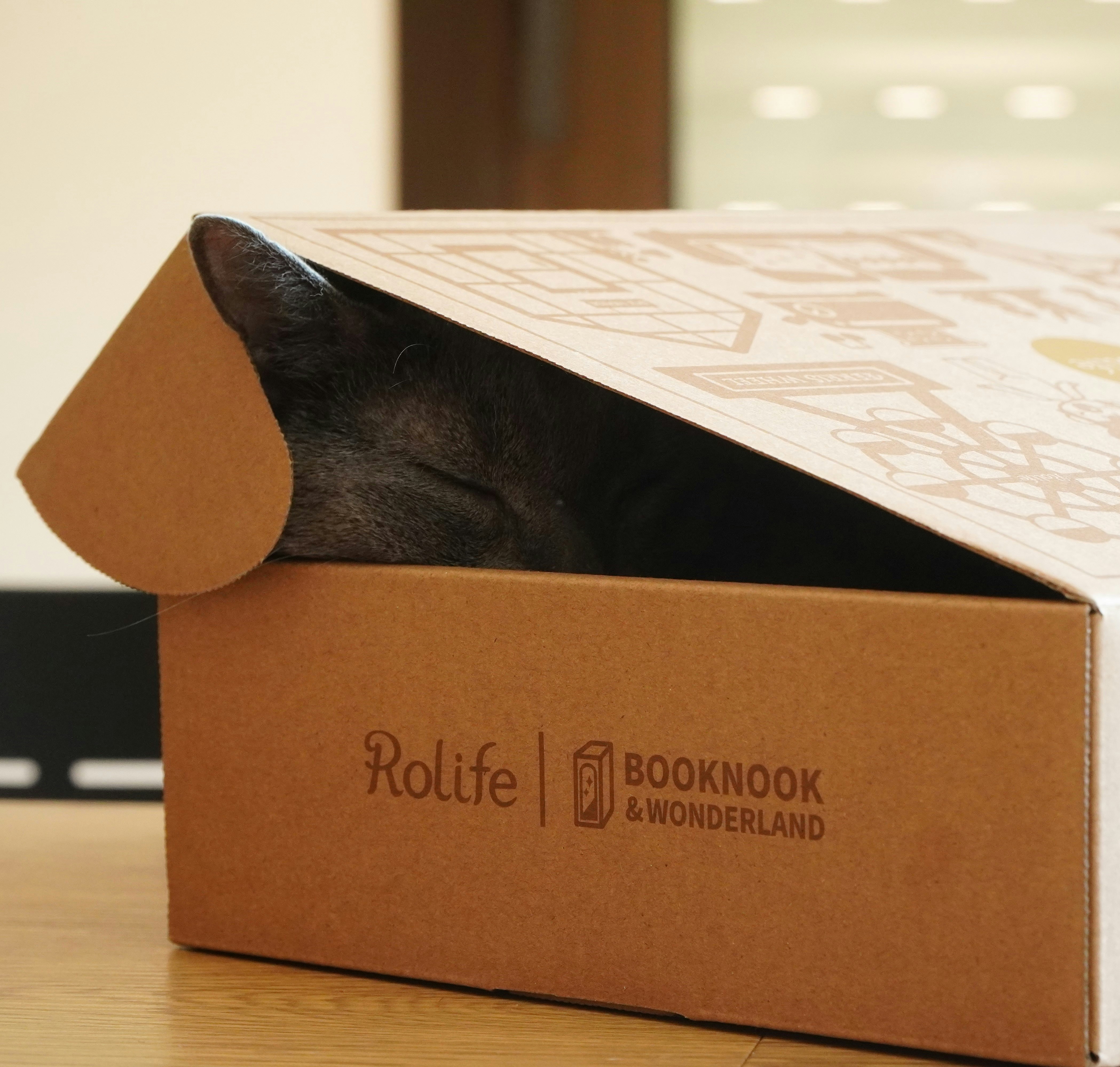 Temperature Regulation in Cardboard Boxes (image credits: unsplash)