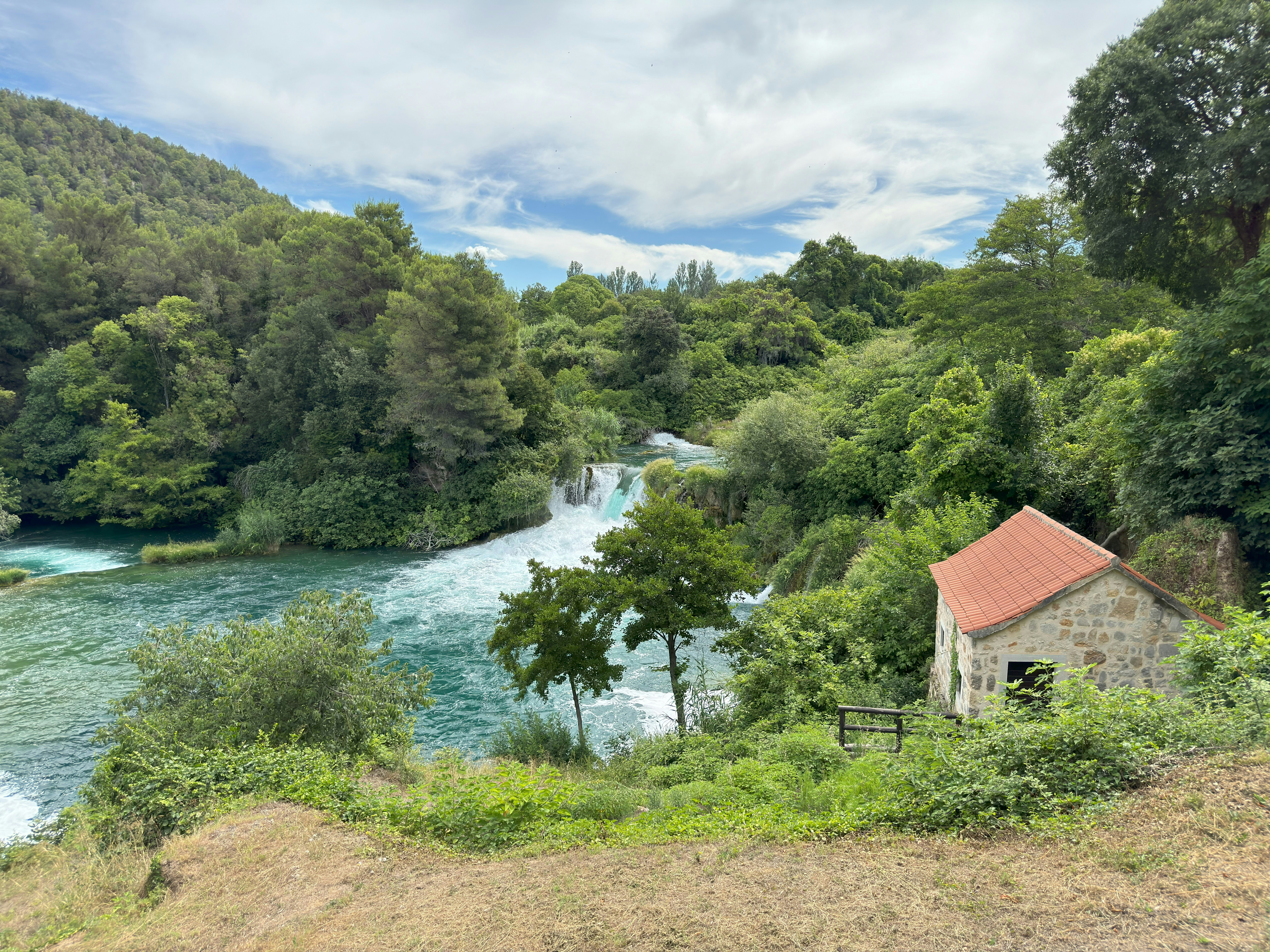 A river running through a lush green forest