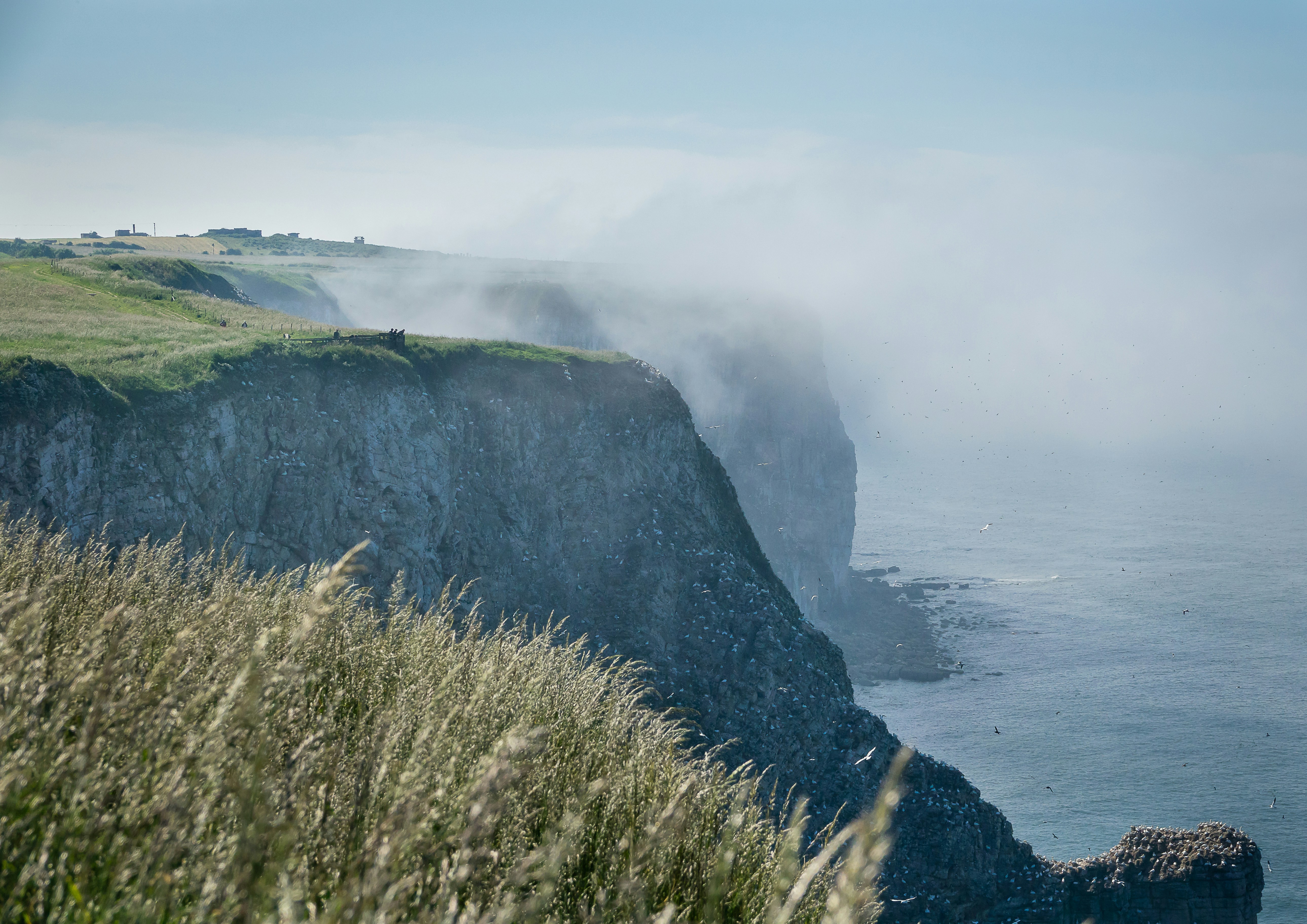 Photo by norfolkboy14