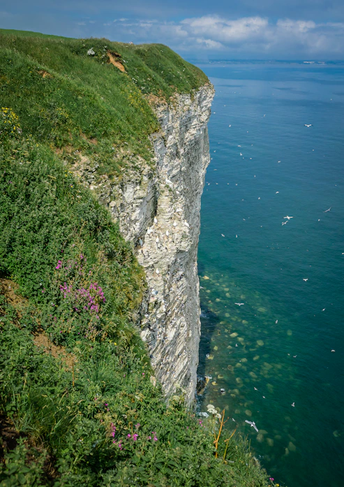 A view of a cliff with a body of water in the background