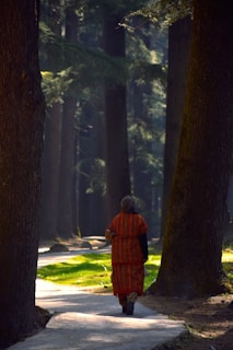 A person walking down a path in the woods