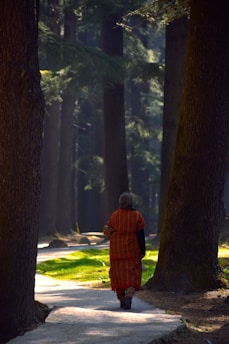 A person walking down a path in the woods