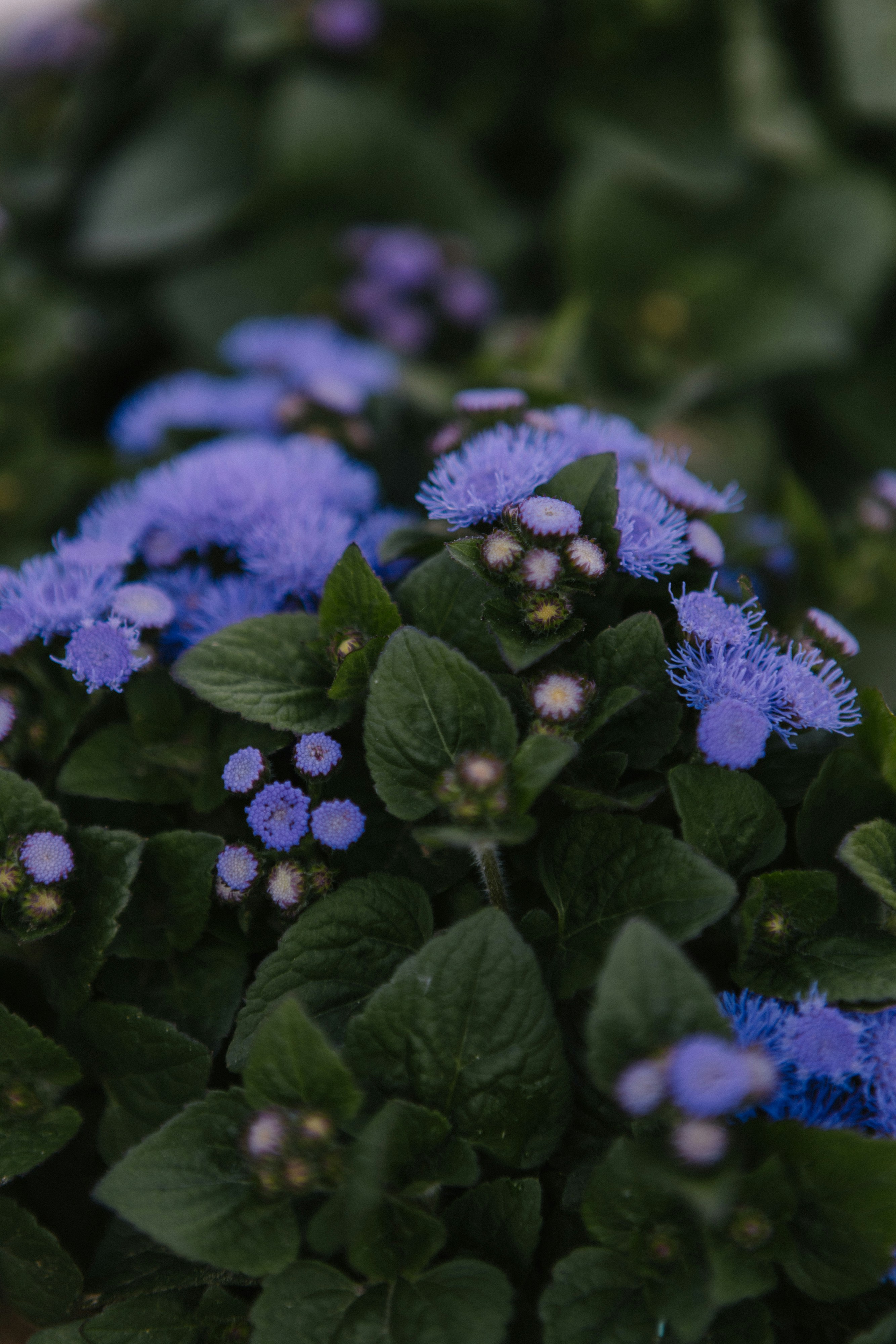 Photo by korobovaphoto