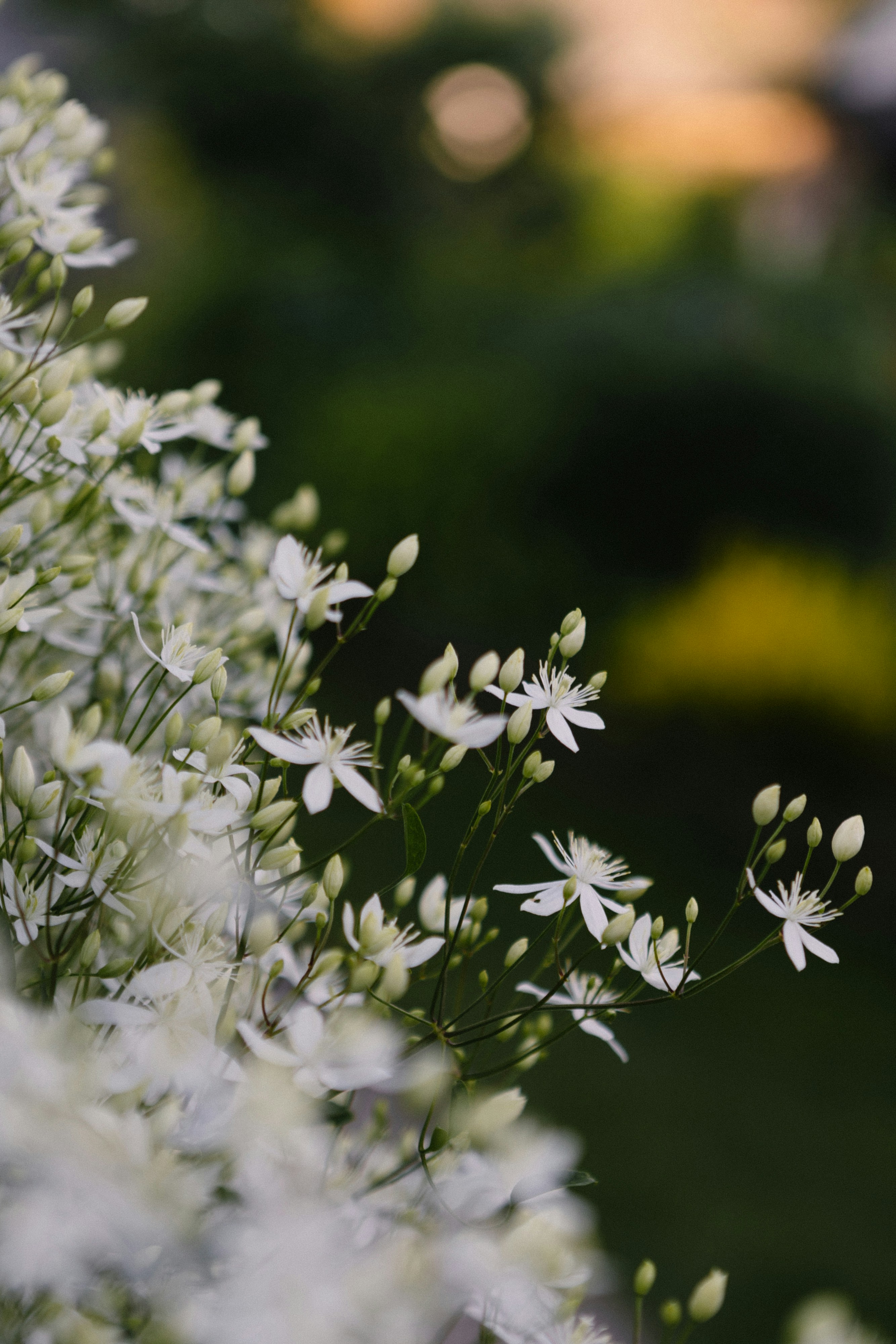 Photo by korobovaphoto