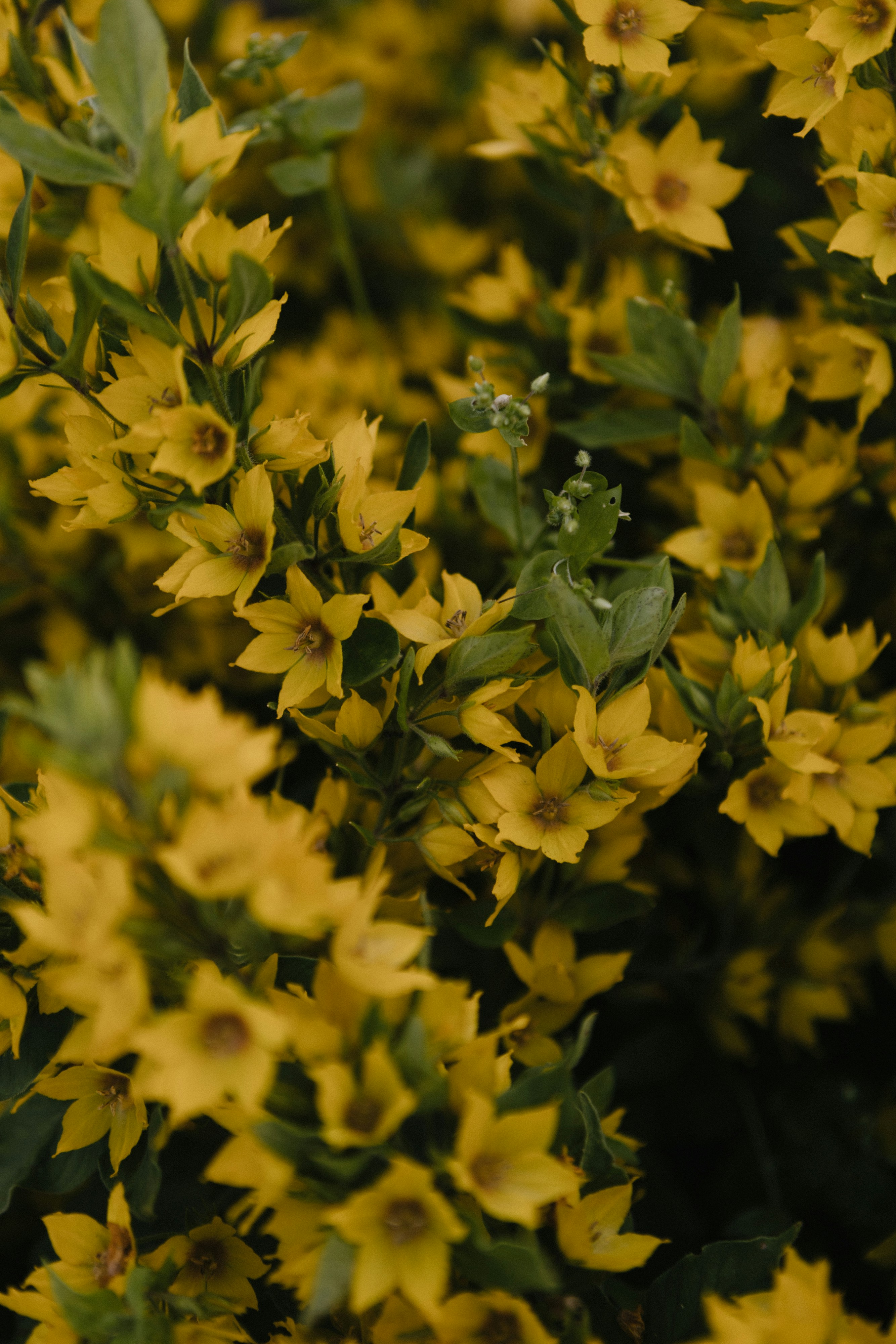 Photo by korobovaphoto