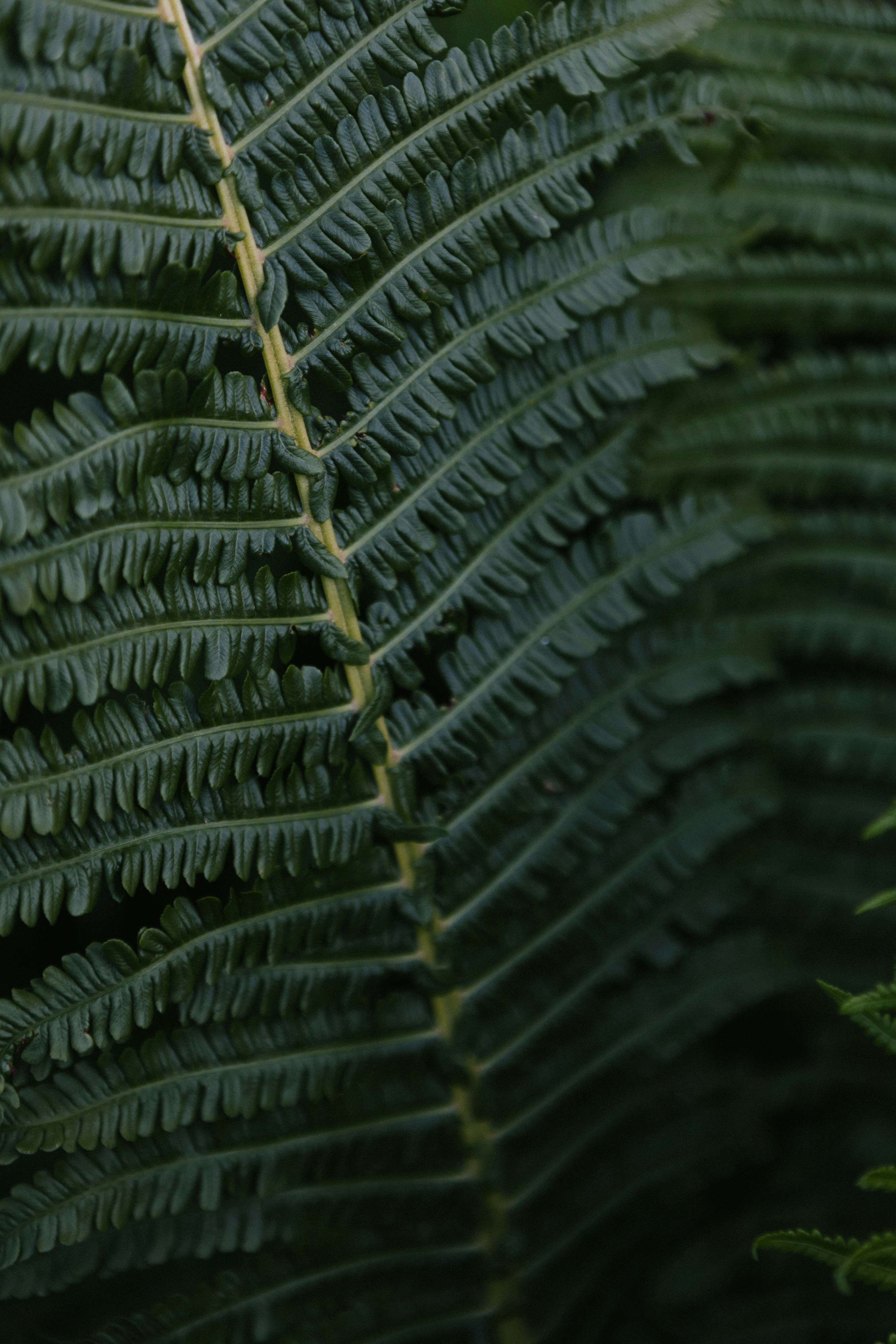 Photo by korobovaphoto