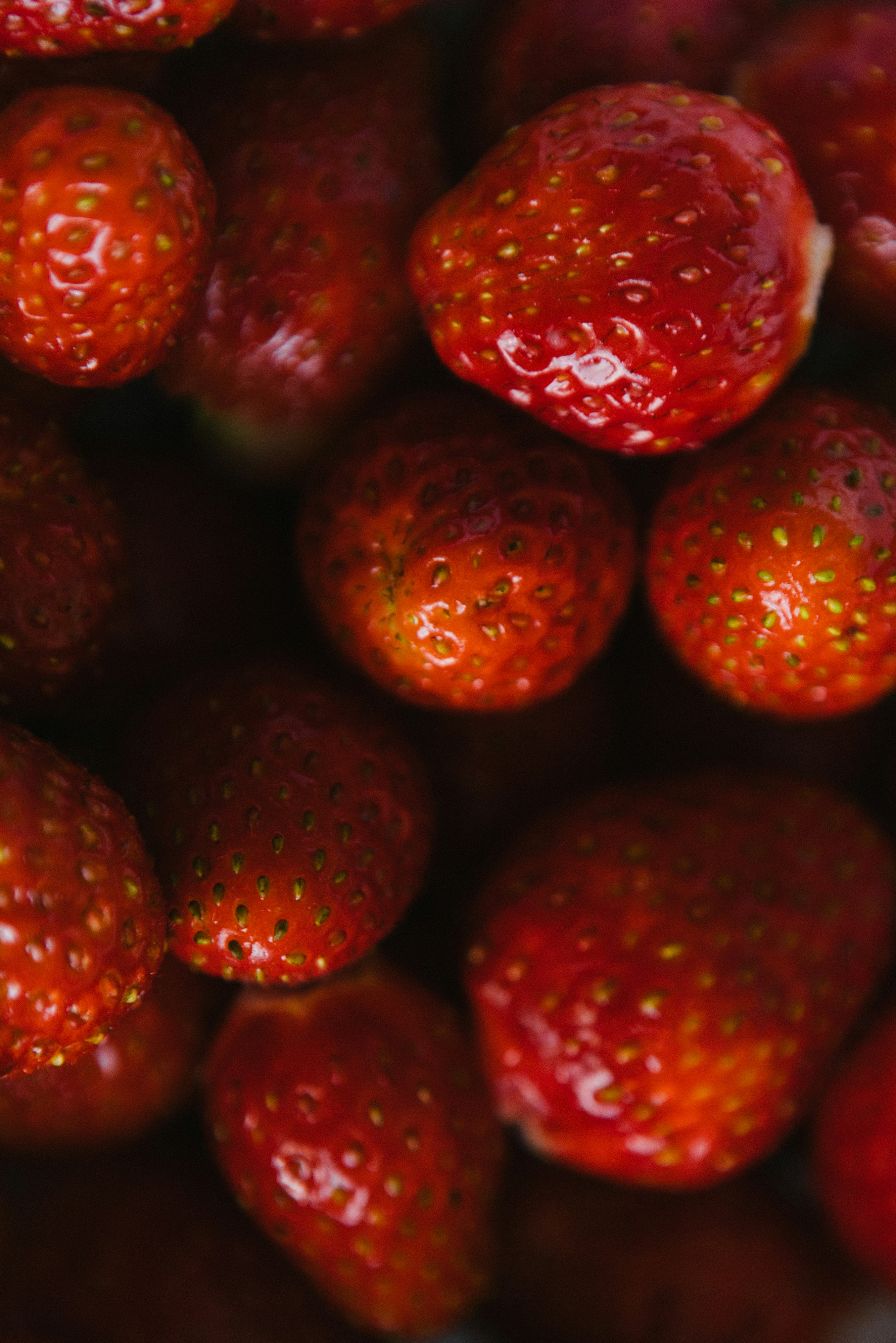 Photo by korobovaphoto