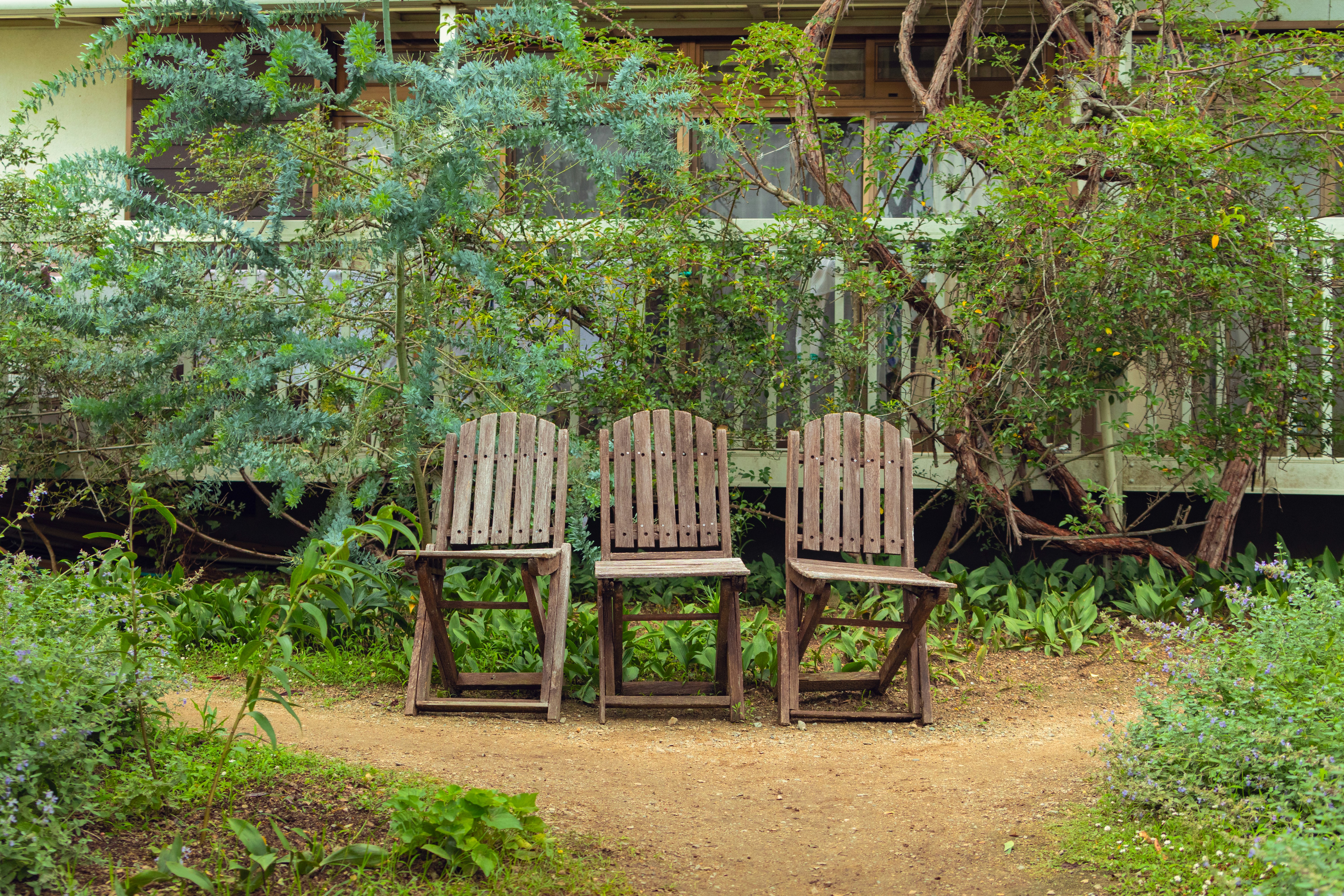 Photo by keita_yoshida_jha