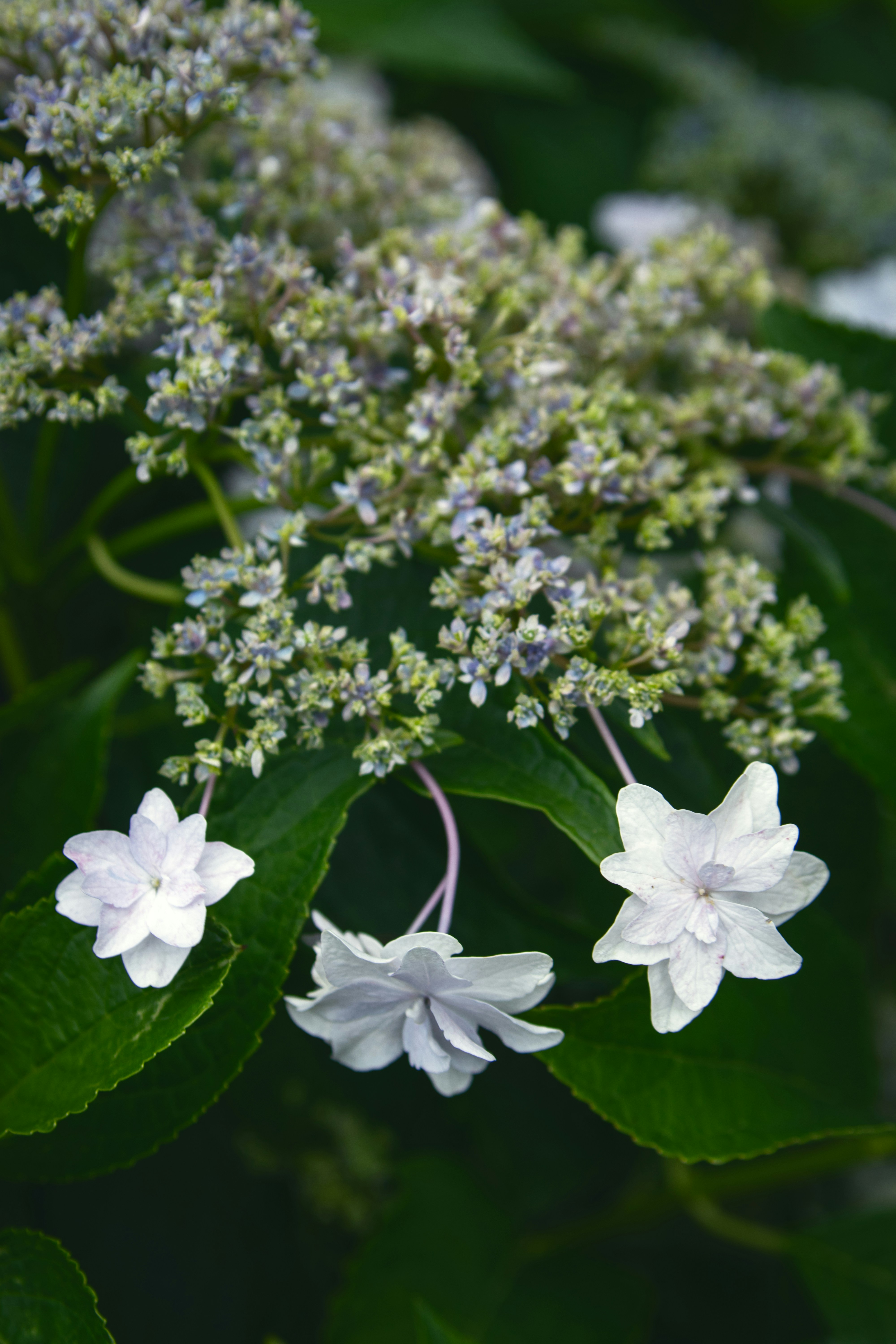 Photo by keita_yoshida_jha